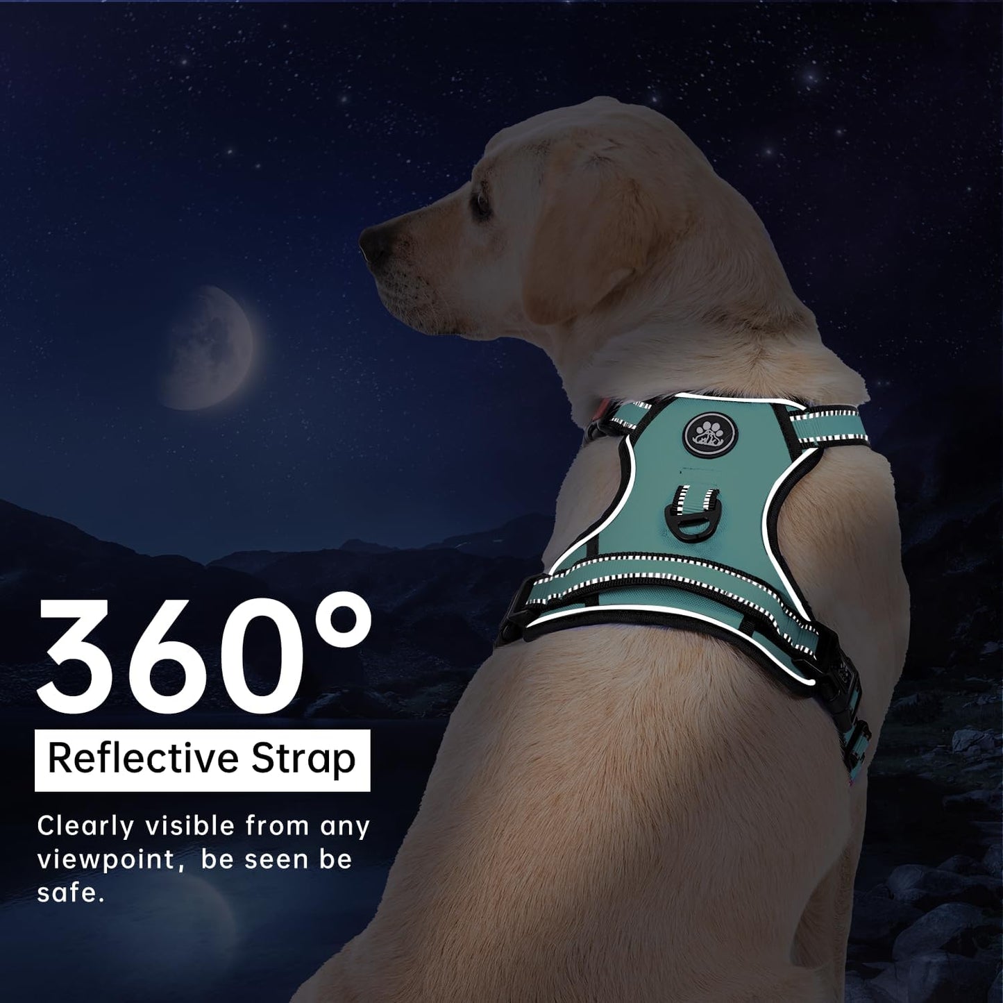 IVY&LANE No Pull Dog Harness with Leash Set, Reflective No Choke Pet Vest,Adjustable Oxford Dog Vest Harness with Easy Control Handle for Large Dogs (Turquoise,XL)