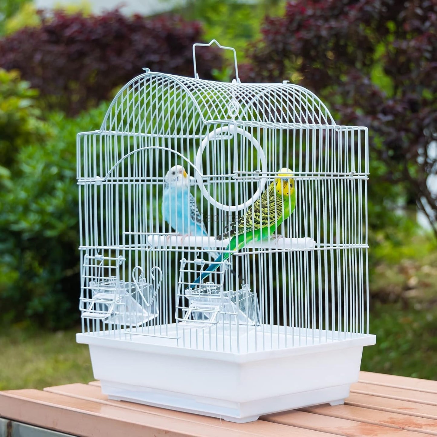 Small Bird Travel Cage-Lightweight Small Birds Starter Kit with Birdcages and Accessories Great for Parakeets Lovebirds Parrotlets Finches Canaries Removable Plastic Tray Include