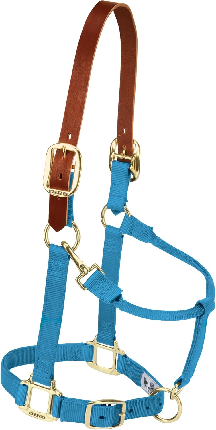 Weaver Equine Breakaway Horse Halter, Supple Leather Crown, Adjustable Chin & Throat Snap Halters for Horses, Equine Tack