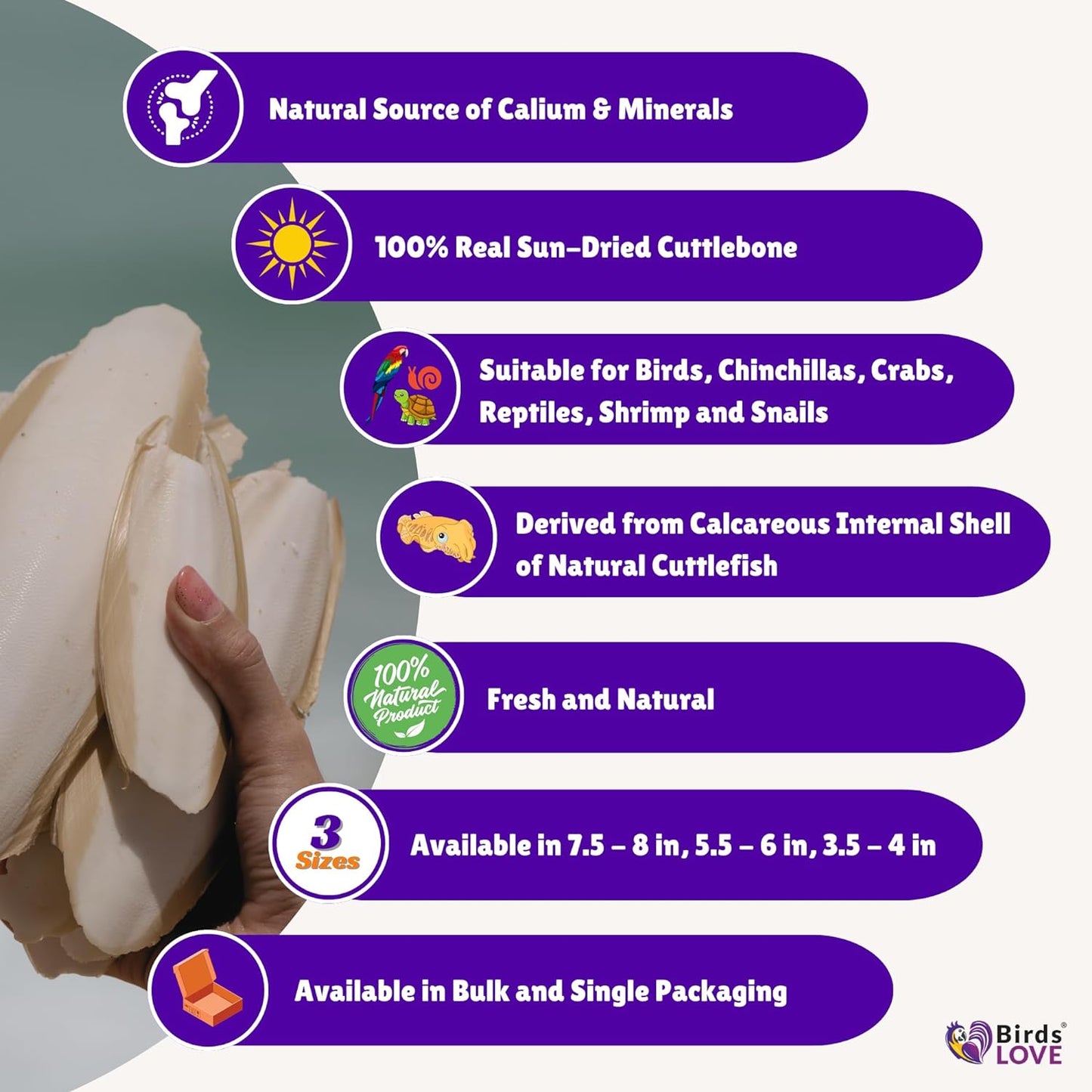 Birds LOVE Natural Cuttlebone – Premium Calcium & Trace Mineral Supplement for Tortoises, Snails, Parakeets, Cockatiels, and All Birds - 6 Pack of 7.5 to 8"
