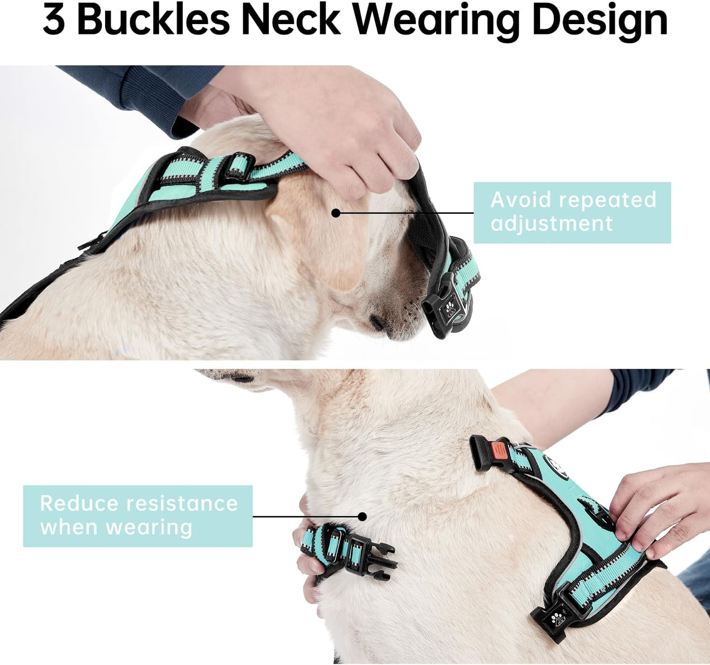 IVY&LANE No Pull Dog Harness with Leash Set, Reflective No Choke Pet Vest,Adjustable Oxford Dog Vest Harness with Easy Control Handle for Medium Dogs (Turquoise,M)