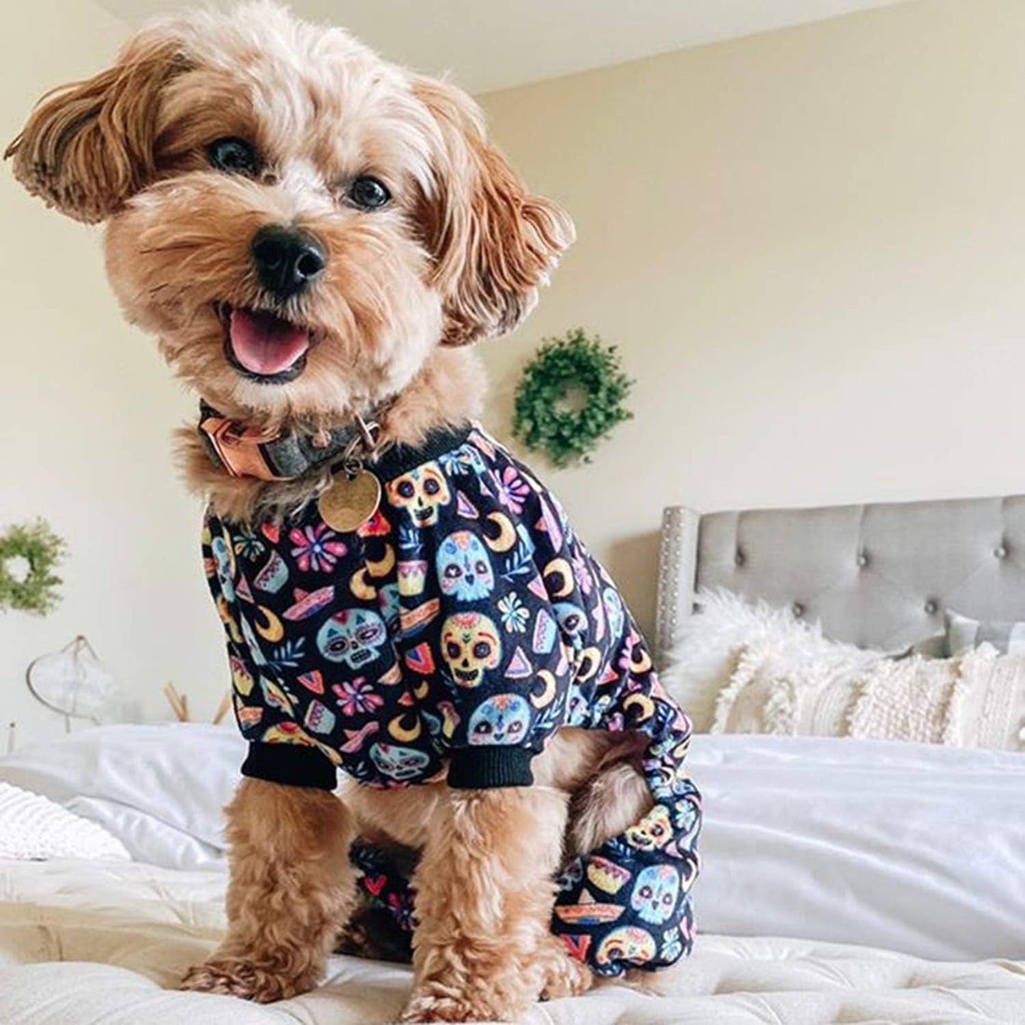 CuteBone Small Dogs Outfit Soft Puppy Onesies Pjs Halloween Dog Pajamas Pet Coat Cat Apparel Comfy Doggie Jumpsuit Bodysuit for All Seasons P73M