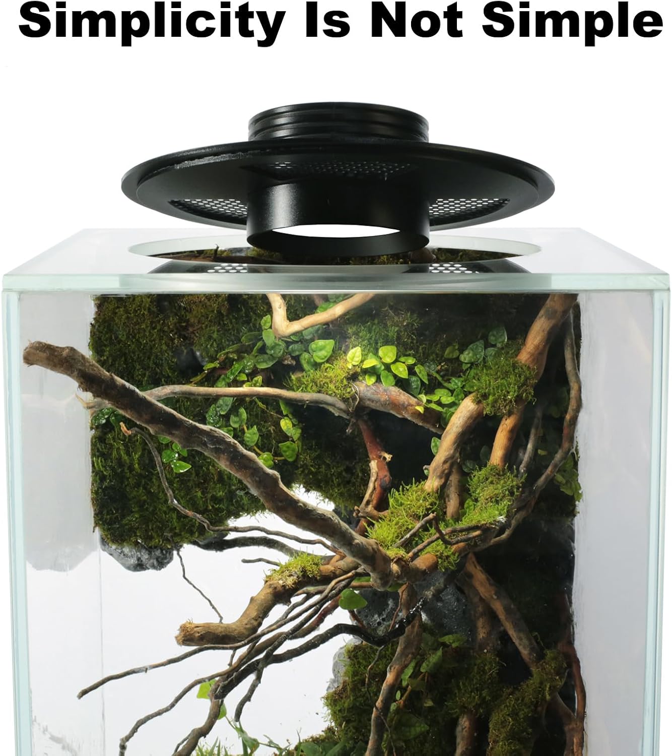 Desktop Glass Plant Terrarium with Grow Light(L7.8 W7.8 H14), for Succulent, Moss, Miniature Gardening Landscape, Betta Fish Tank, Indoor Plant Growth, Office Home Decoration (TimeControlled)