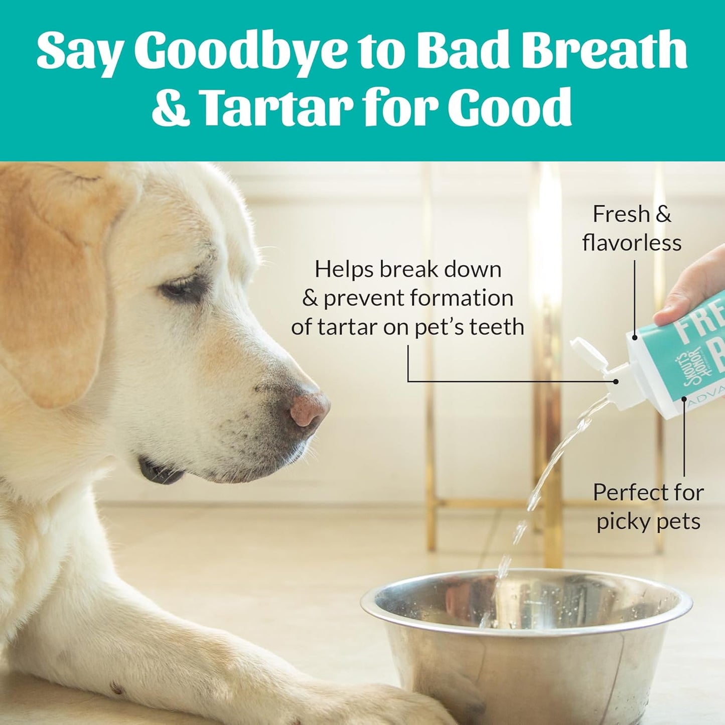 SKOUT'S HONOR Fresher Breath Water Additive for Pets - VOHC Accepted for Tartar Control, Freshens Breath Fast, No Brushing Required: Fresh & Flavorless 16oz - 3 Pack