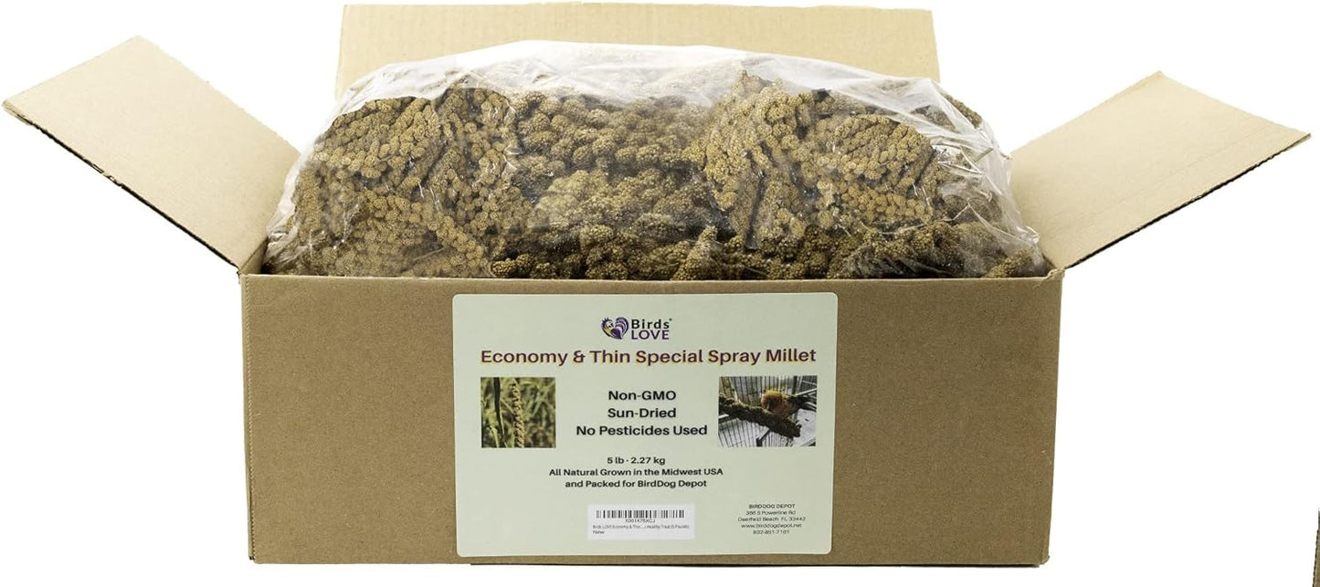Birds LOVE Economy & Thin Special Spray Millet – 5 lb GMO-Free, No Stems (Only Edible Tops) – Healthy Treat for Cockatiels, Lovebirds, Parakeets, Finches & Canaries