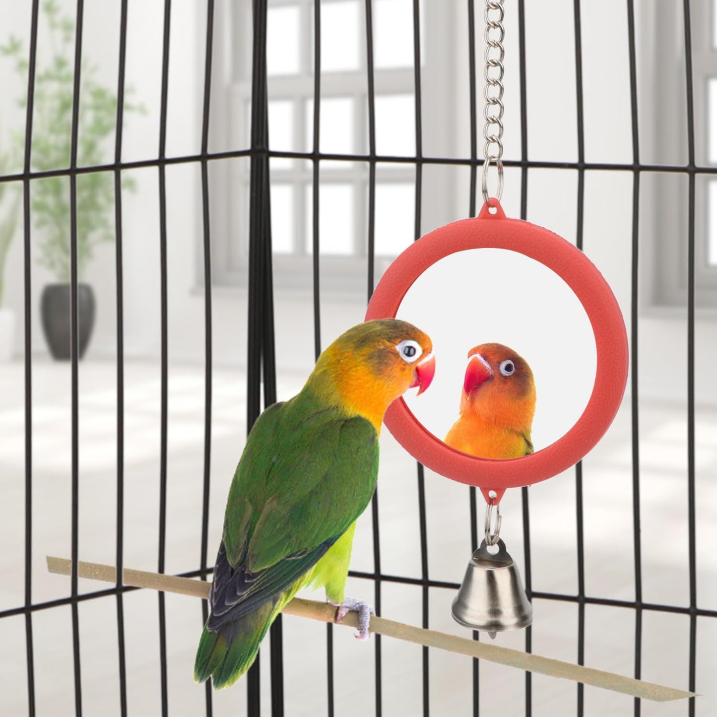 Hypeety Pet Bird Mirror with Bell Interactive Parrot Toy Bird Cage Mirror for Cockatiel Parakeets Canaries Budgie (RED)
