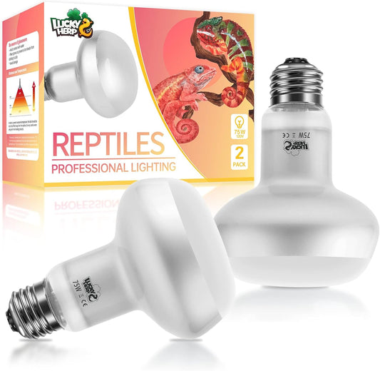 LUCKY HERP Intense Heat Lamp Bulbs for Reptiles 75W 2 Pack, UVA Daylight Reptile Heat Lamp, Reptile Basking Heat Light Bulb for Amphibian, Tortoise, Bearded Dragon, Lizard, Turtle, Snake Heating Use