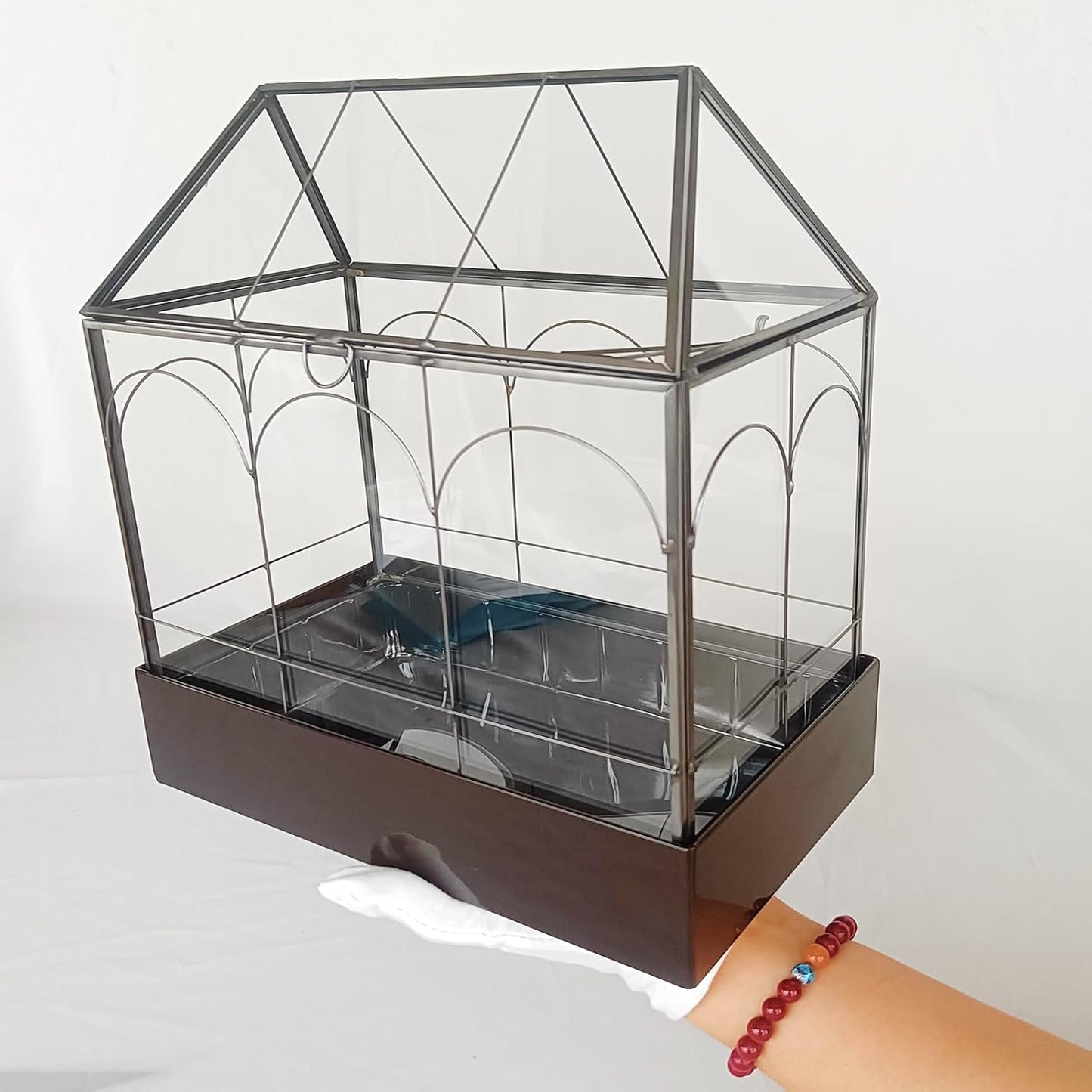 HighFree Glass Terrarium with Metal Tray, Glass Greenhouse Terrarium Kit for Succulents, Cacti, Snails, Spiders, and Miniature Reptiles, Black (Large-9.45" L x 5.7" W x 11.8" H)