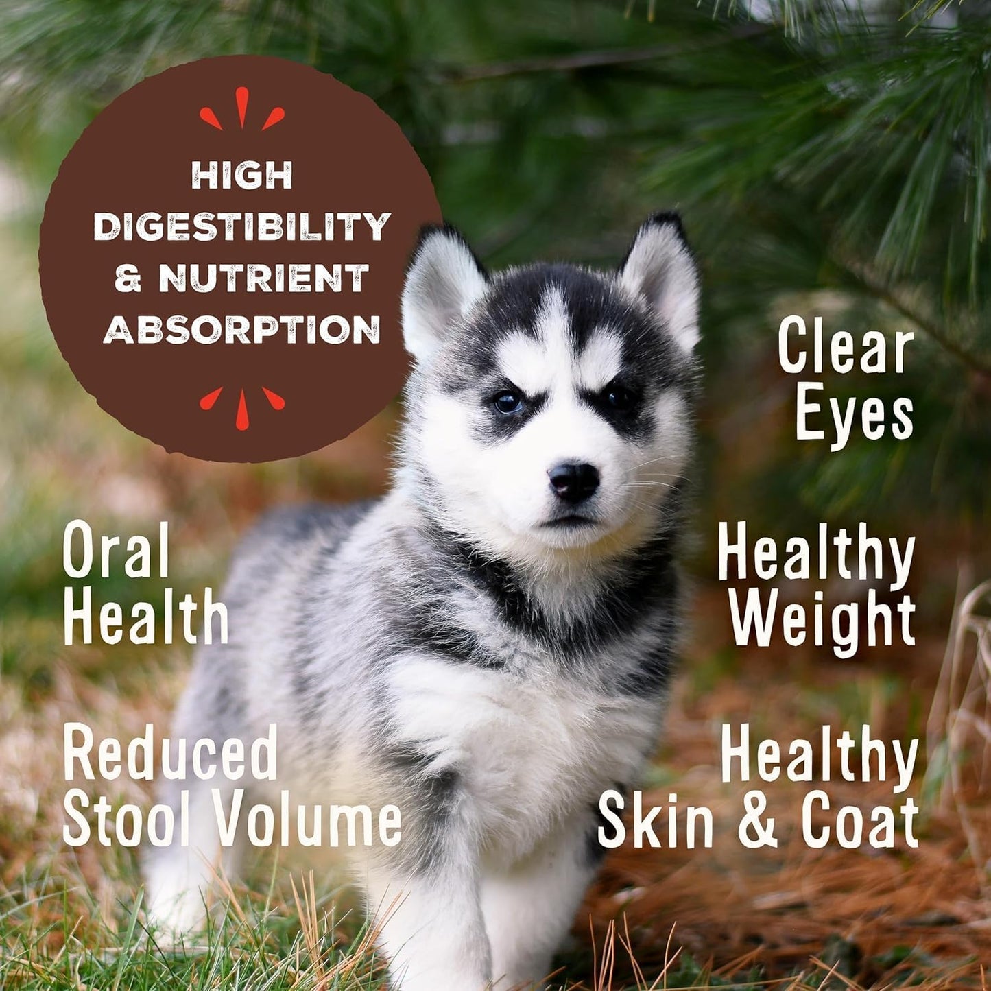 Primal Freeze Dried Puppy Dog Food, Pronto Mini Nuggets; Scoop & Serve, Complete & Balanced Meal; Also Use As Topper or Treat; Premium, Healthy, Grain Free, High Protein Raw Dog Food (16 oz, 2-Pack)