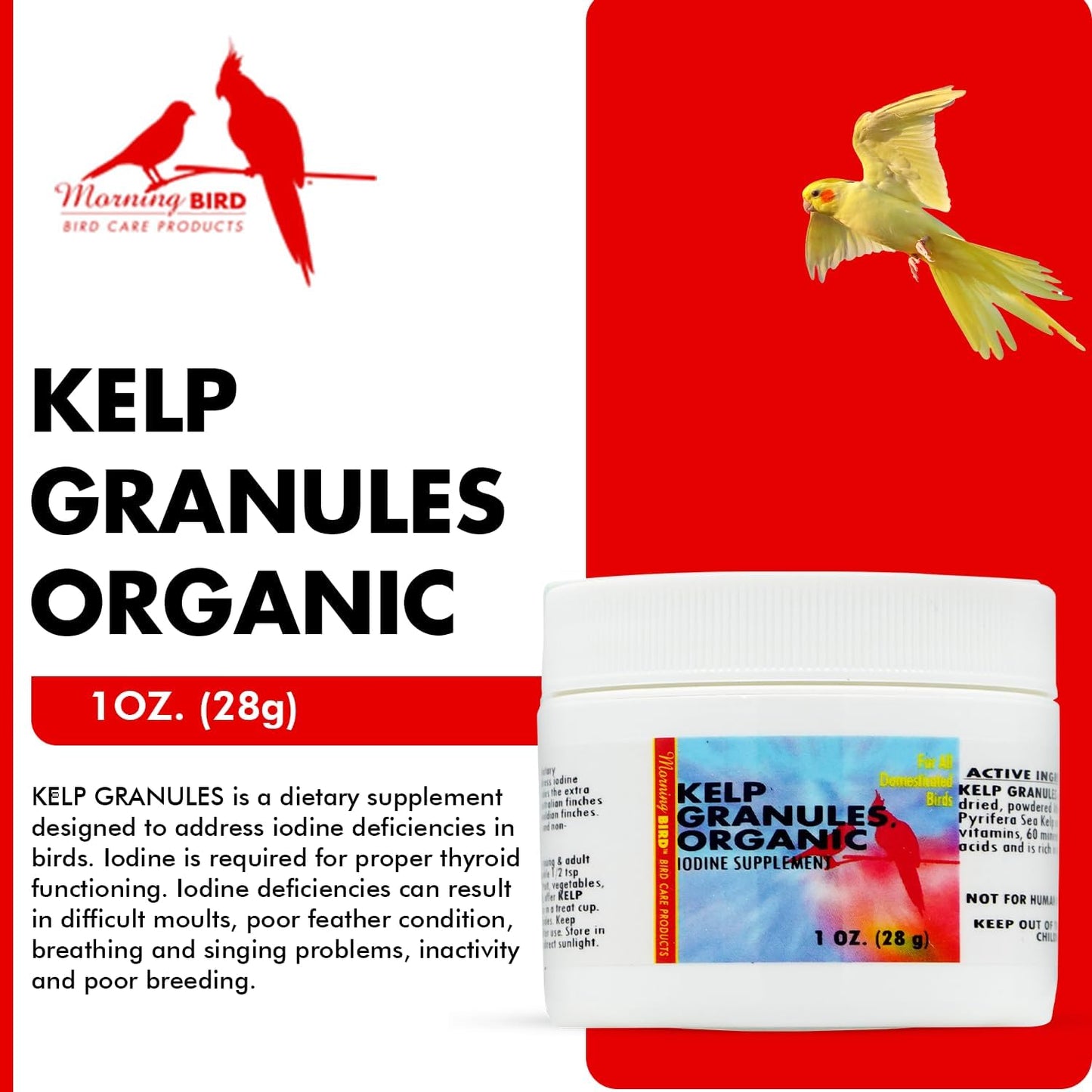 Morning Bird Kelp Granules 1 Oz – Iodine Supplement for Birds – Supports Feather Growth, Molting & Metabolism – Rich in Amino Acids, Trace Minerals & Natural Vitamins – Clean Nutrition for All Birds