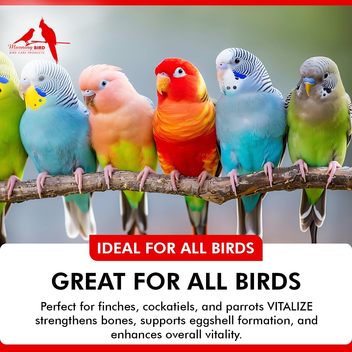 Morning Bird Vitalize, Supplement for Sick, Injured, or Stressed Caged Birds; Dehydration and Exhaustion Treatment for Parakeets, Cockatiels, Budgies, Finches, Canaries, and Parrots, 16 oz