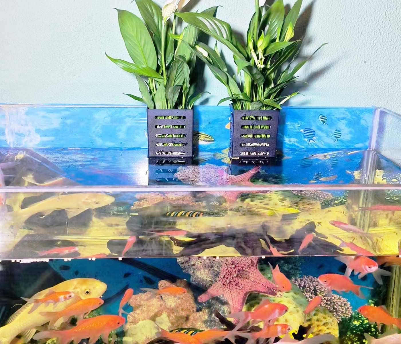2 PCS Hanging Aquarium Planter Cups, Aquatic Plants Holder, Aquarium Decorations - Fish Tank Plants Pot for Live Aquarium Decor (Black)