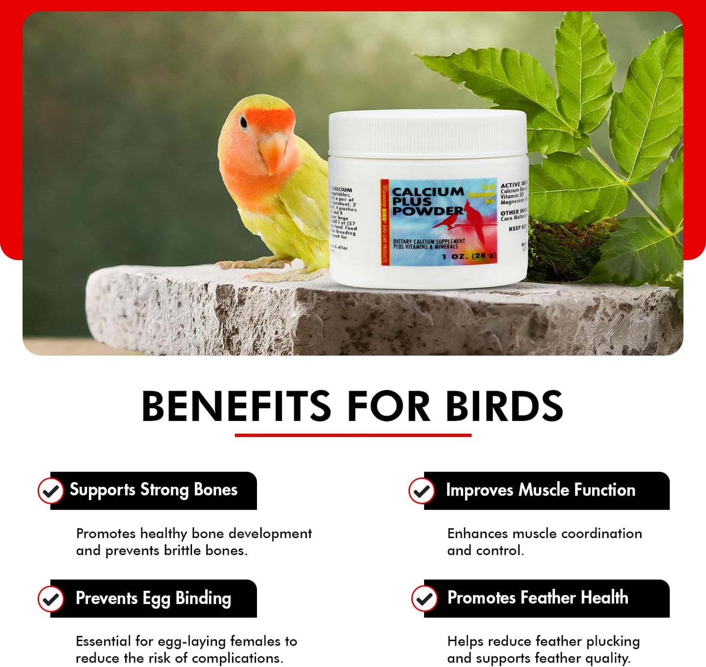 Morning Bird Calcium Plus Powder for Birds 1 oz – Calcium Carbonate Powder with Magnesium Glycinate & Vitamin D – Bone Strength & Immune Support Supplement – Calcium Formula for All Bird Sizes