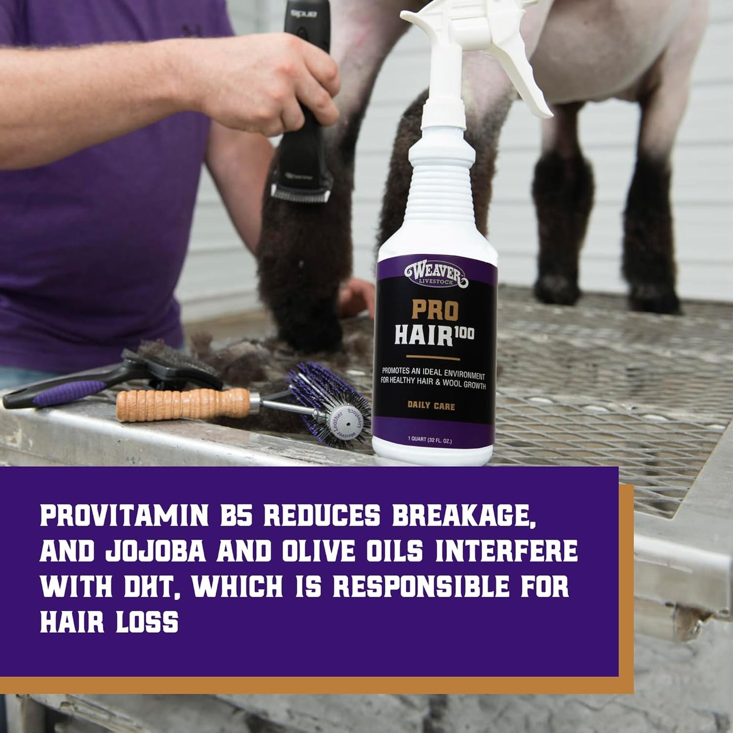 Weaver Leather Livestock Winner's Brand Pro Hair100 Shampoo, 1 Gallon