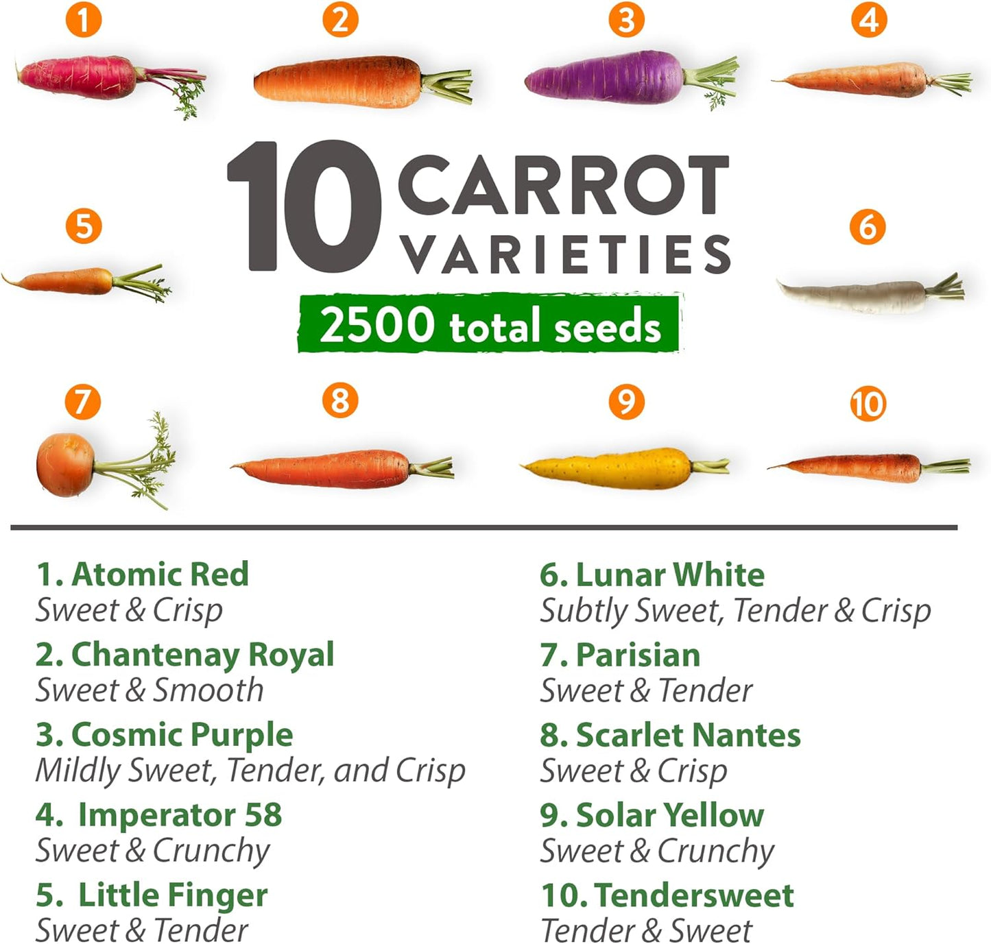 HOME GROWN π¨π¦π π£π₯ππ ππ¨π Rainbow Carrot Seeds β 2500+ Heirloom Seeds (10 Varieties) β High Germination, π‘π’π‘-ππ π’ Vegetable Seeds for Planting Indoors or Outdoor Home Garden