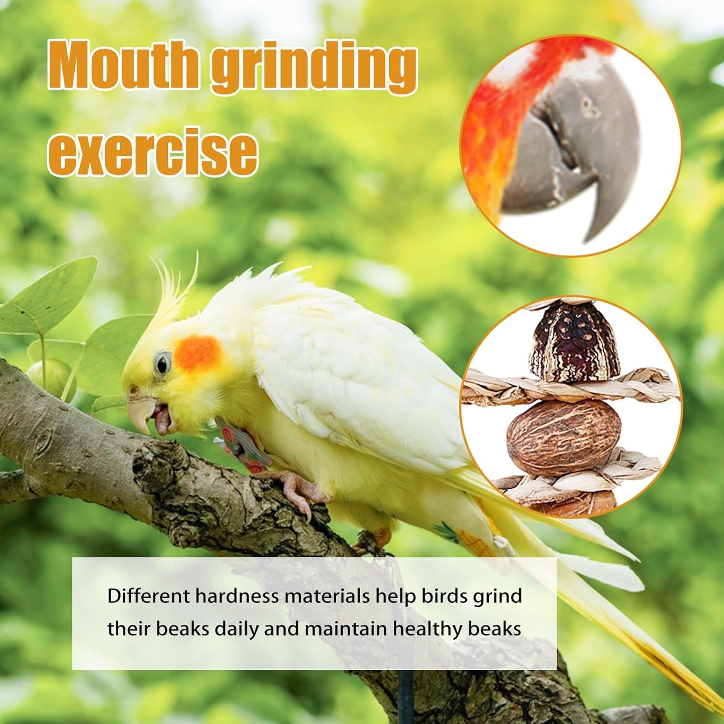 Bird Toys :Straw-Woven Parrot Toys,Parakeet Chewing Hanging Toy Bird Cage Accessories,Suitable Parrots Budgies Cockatiels Lovebird Monk Parakeet Amazon Parrot Sun Conure