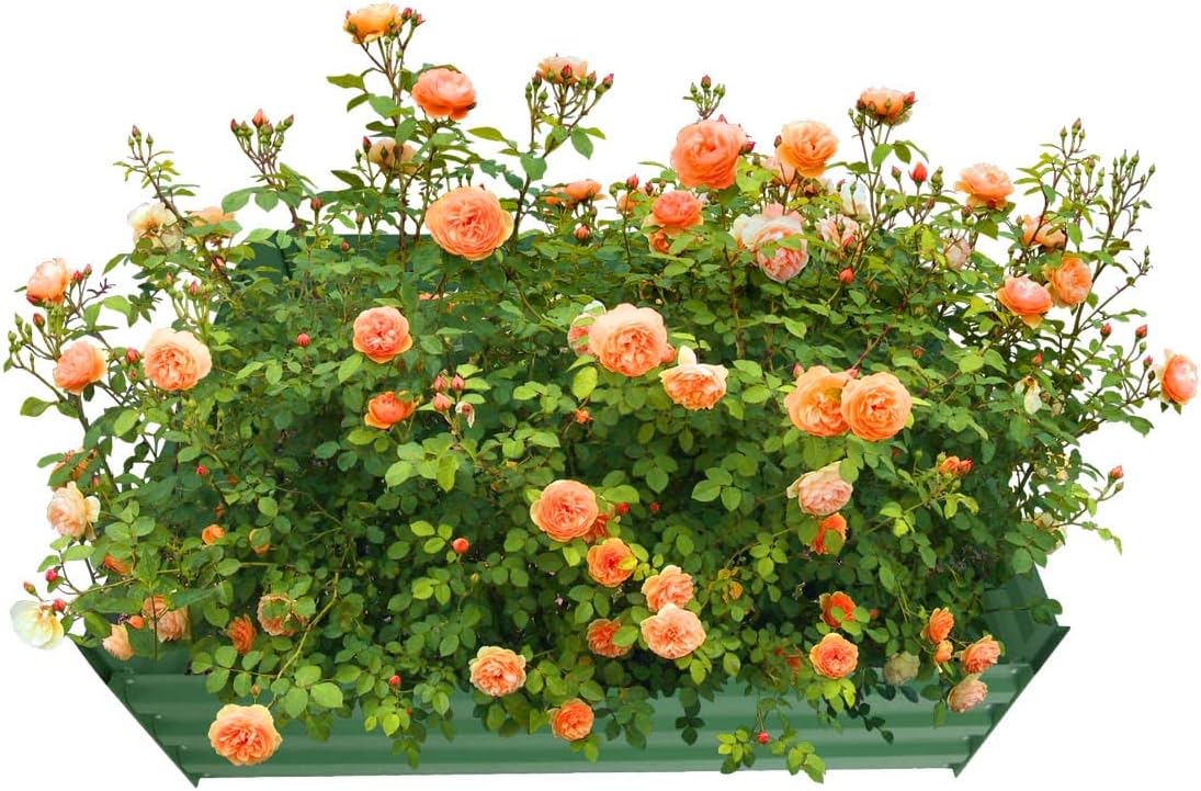 4x4x1ft Metal Raised Garden Bed Kit,Galvanized Garden Bed Box for Vegetables, Flowers, Herbs, and Succulents,120 Gallon Capacity - Green