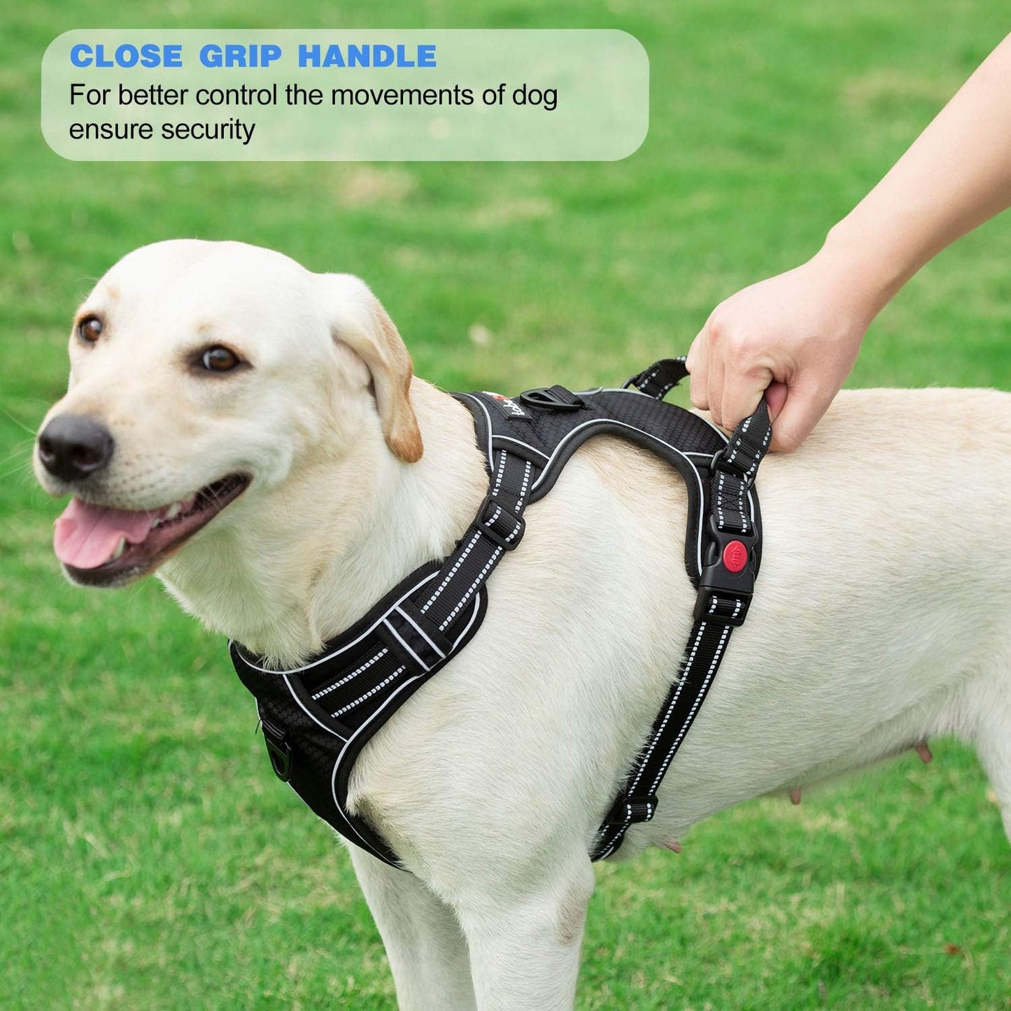 No Pull Dog Harness Adjustable Reflective Oxford Easy Control Medium Large Dog Harness with A Free Heavy Duty 5ft Dog Leash (L (Neck: 18"-25.5", Chest: 24.5"-33"), Red Harness+Leash)