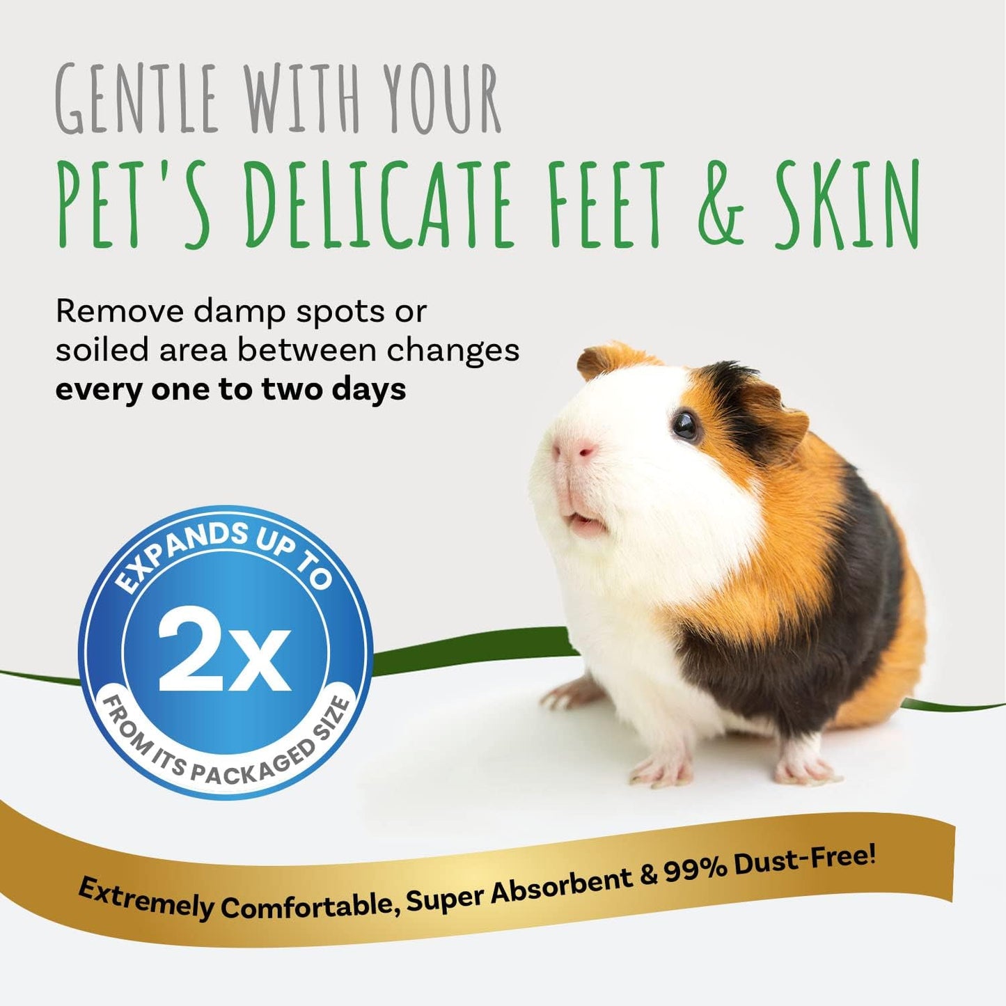 Small Pet Select Premium Natural Aspen Bedding, Animal Bedding for Small Indoor and Outdoor Pets, Made in The USA, Jumbo Size 282 L (2 Pack, 141 L Each)