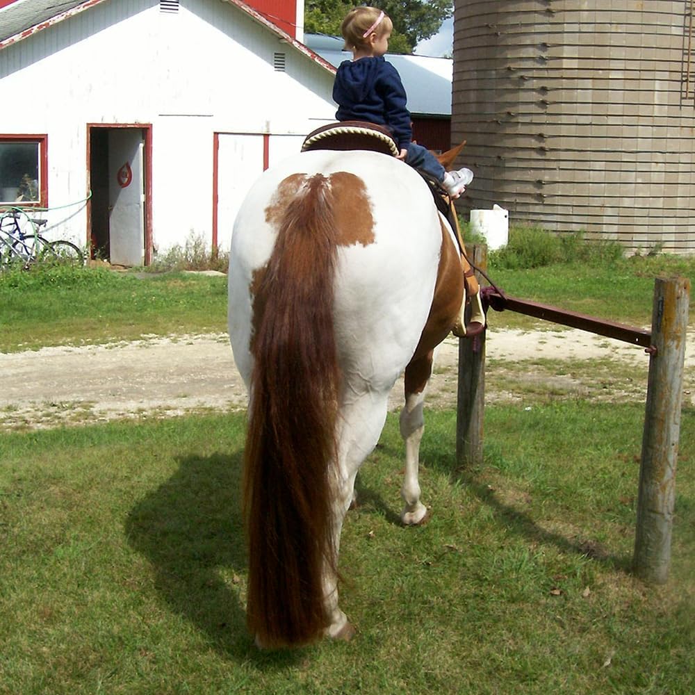 Horse Tail Extensions with Braided Horsehair Loop, Blunt Cut Bottom, 28-30 inches Long and 3/8 lb Weight