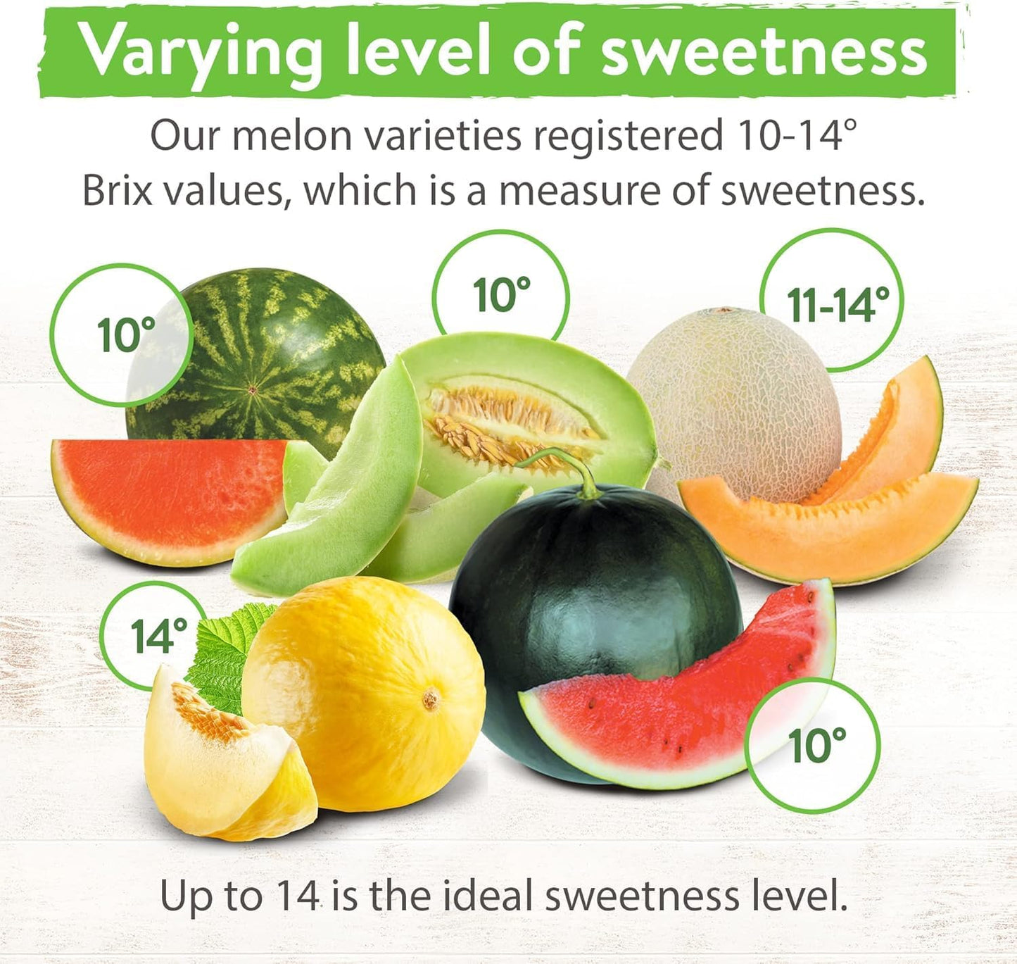 HOME GROWN π¨π¦π π£π₯ππ ππ¨π  Melon Seeds Variety Pack 5 π‘π’π‘-ππ π’ Heirloom Vegetable Seeds, Watermelon Cantaloupe Honeydew Sugar Baby & Melon, High Germination for Planting Home Garden Indoors