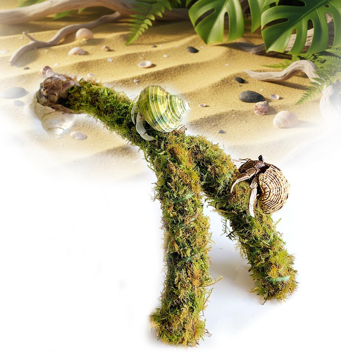 Duspro Hermit Crab Climbing Toys โ Y Shaped Flexible Moss Pole Wrapped in Soft Yarn and Forest Moss, Hermit Crab Accessories and Easy-to-Use Hermit Crabs Supplies โ Perfect for Climbing (12 inches)