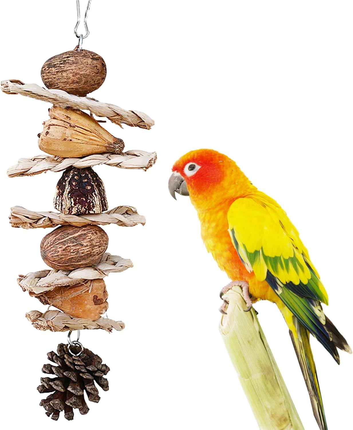 Bird Toys :Straw-Woven Parrot Toys,Parakeet Chewing Hanging Toy Bird Cage Accessories,Suitable Parrots Budgies Cockatiels Lovebird Monk Parakeet Amazon Parrot Sun Conure