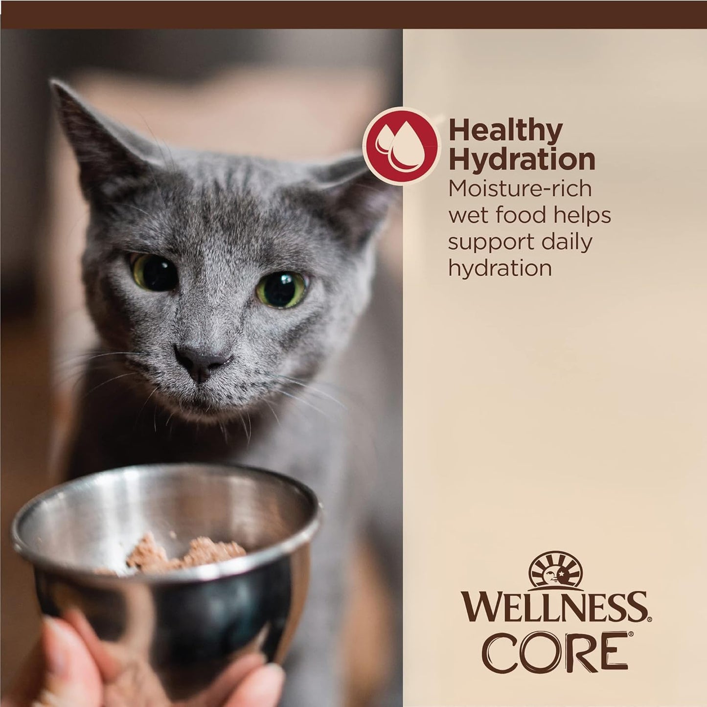 Wellness CORE Tiny Tasters Minced Adult Wet Cat Food, Natural, Protein-Rich, Grain Free, 1.75-Ounce Pouch, 12 Pack, (Chicken & Beef)