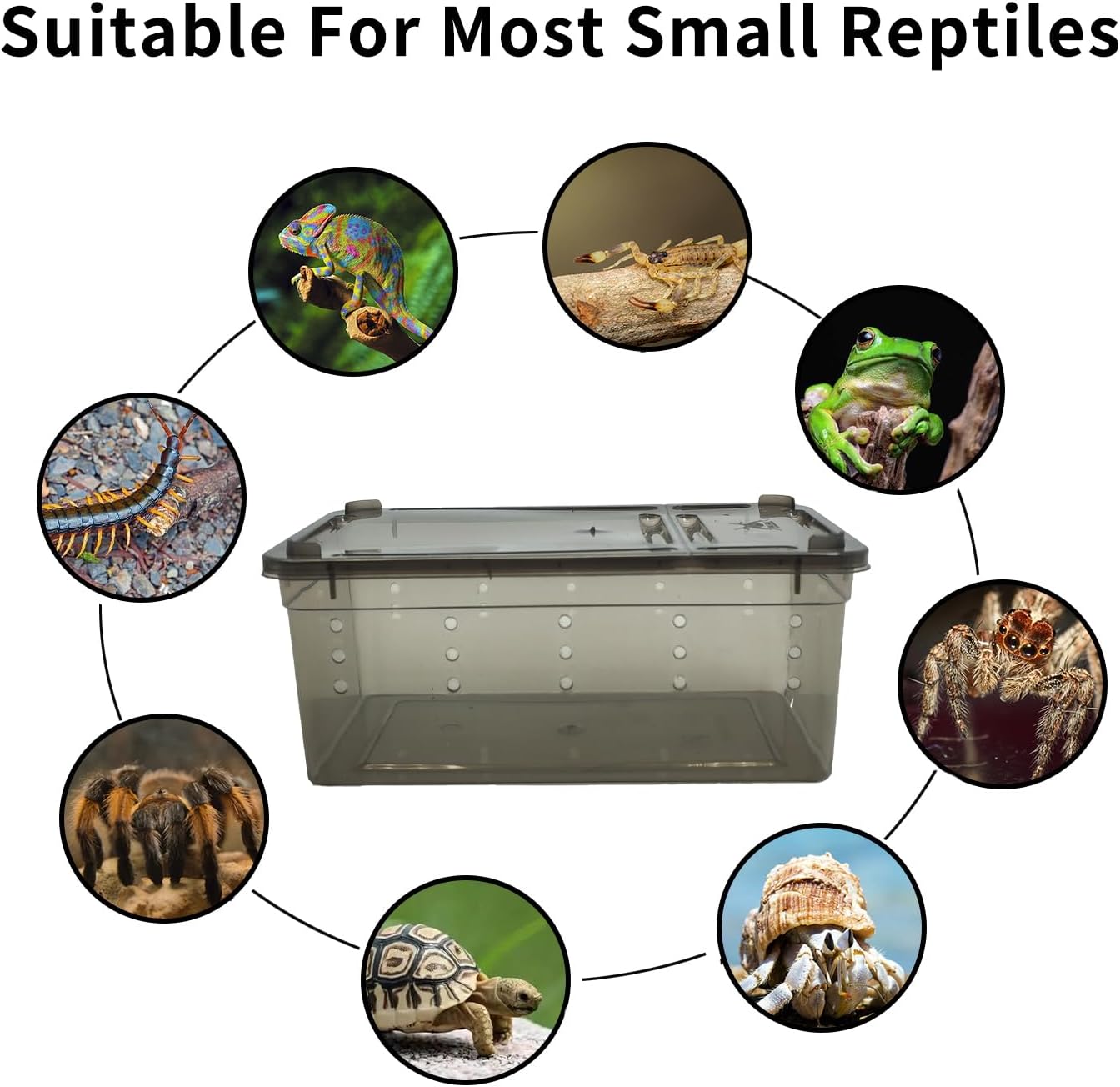 PINVNBY 8 PCS Reptile Feeding Box Portable Snake Breeding Box Lizard Cage Hatching Container 7.48"x4.92"x2.95" Transparent Plastic Pet Houses for Spider Scorpion Gecko Insect Tortoise Treefrog(Black)