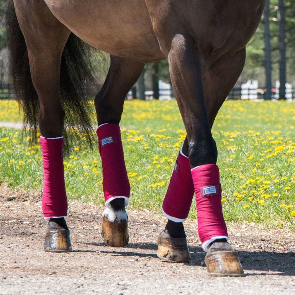 Dura-Tech Standing Wraps for Horses | Color Green | Optimal Comfort & Support | Ideal for Post-Exercise & Trailering | Right Tension Application | Secure Closure
