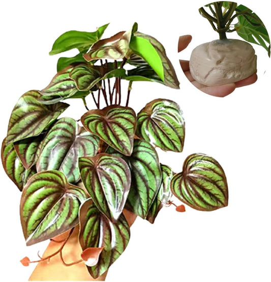 Reptile Plants for Terrarium Decor,Amphibian Habitat Decor,Artificial Plants for Gecko Chameleon Snake Tortoise Tank Accessories with Base (red Watermelon peperomia)