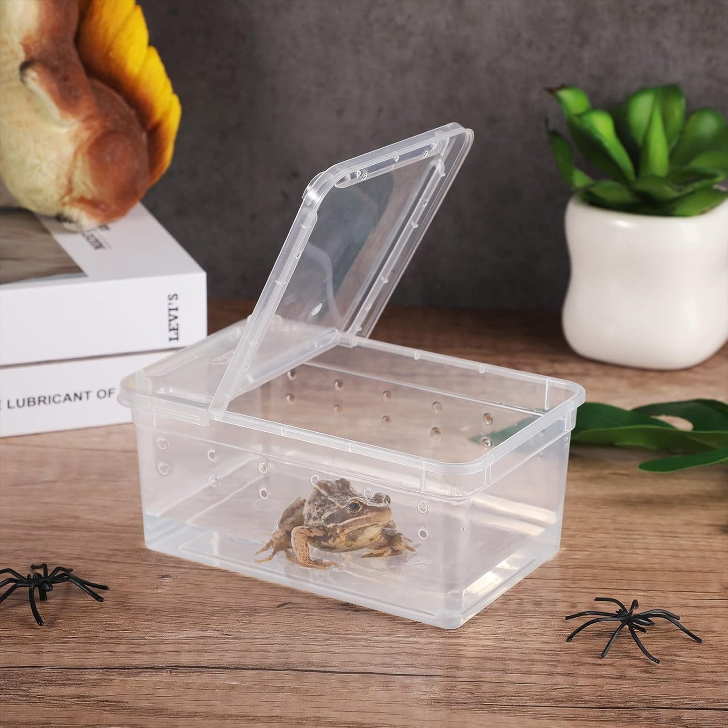 Irenare 8 Pcs Reptile Breeding Breeding Box Plastic Spider Terrarium Tarantula Feeding Box for Bearded Dragon Lizard Spider Gecko Scorpion(Vent Holes,5.9 x 3.9 x 2.5 Inch)