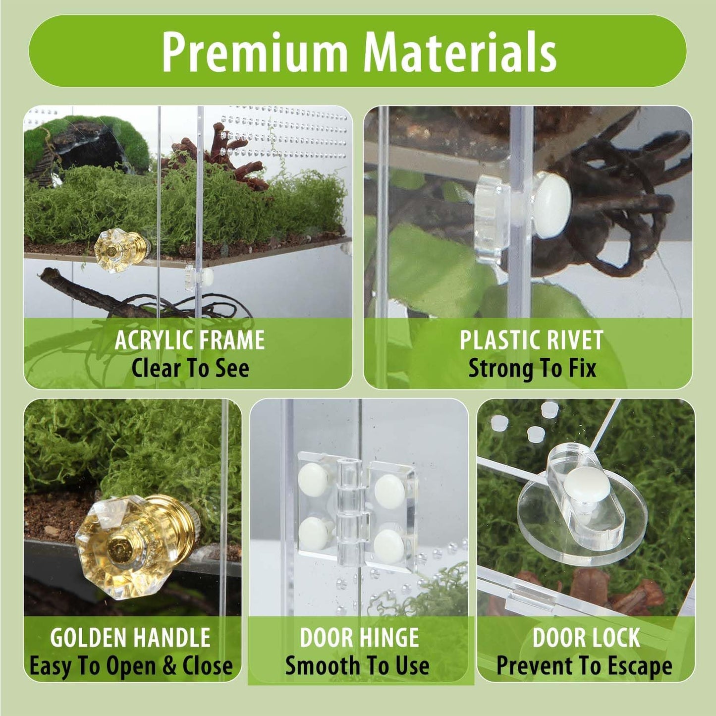 Large Jumping Spider Enclosure, 2 in 1 Acrylic Reptile Terrarium for Praying Mantis,Arboreal Tarantula,Frogs,Snails, 12"*8"*8" Breeding Habitat with Front & Top Opening Doors and Vent Holes