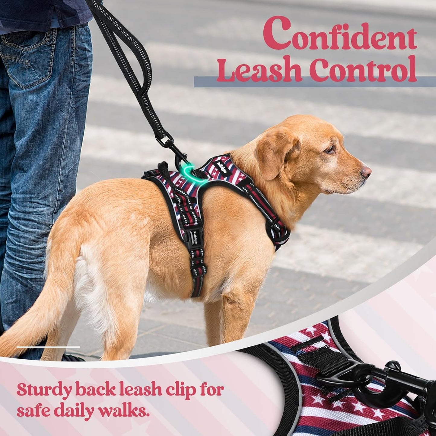 rabbitgoo Dog Harness No Pull with 2 Leash Clips, Adjustable Soft Padded, Reflective Oxford No Choke Pet Vest with Easy Control Handle for Large Dogs, Red Stripe, S