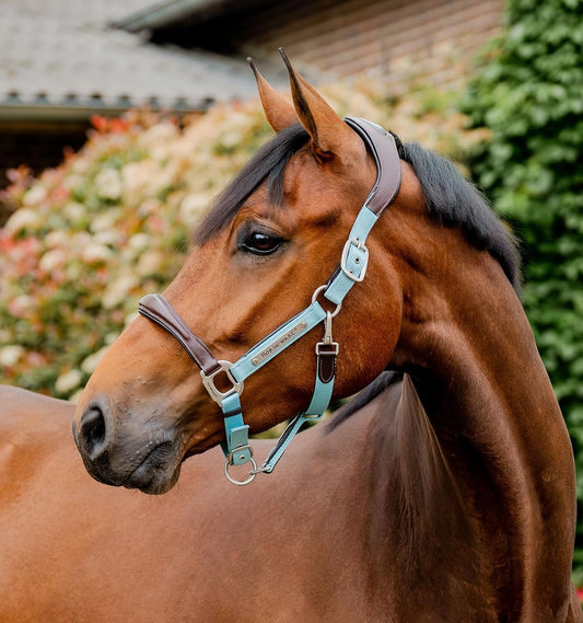 Horseware® Signature Competition Halter