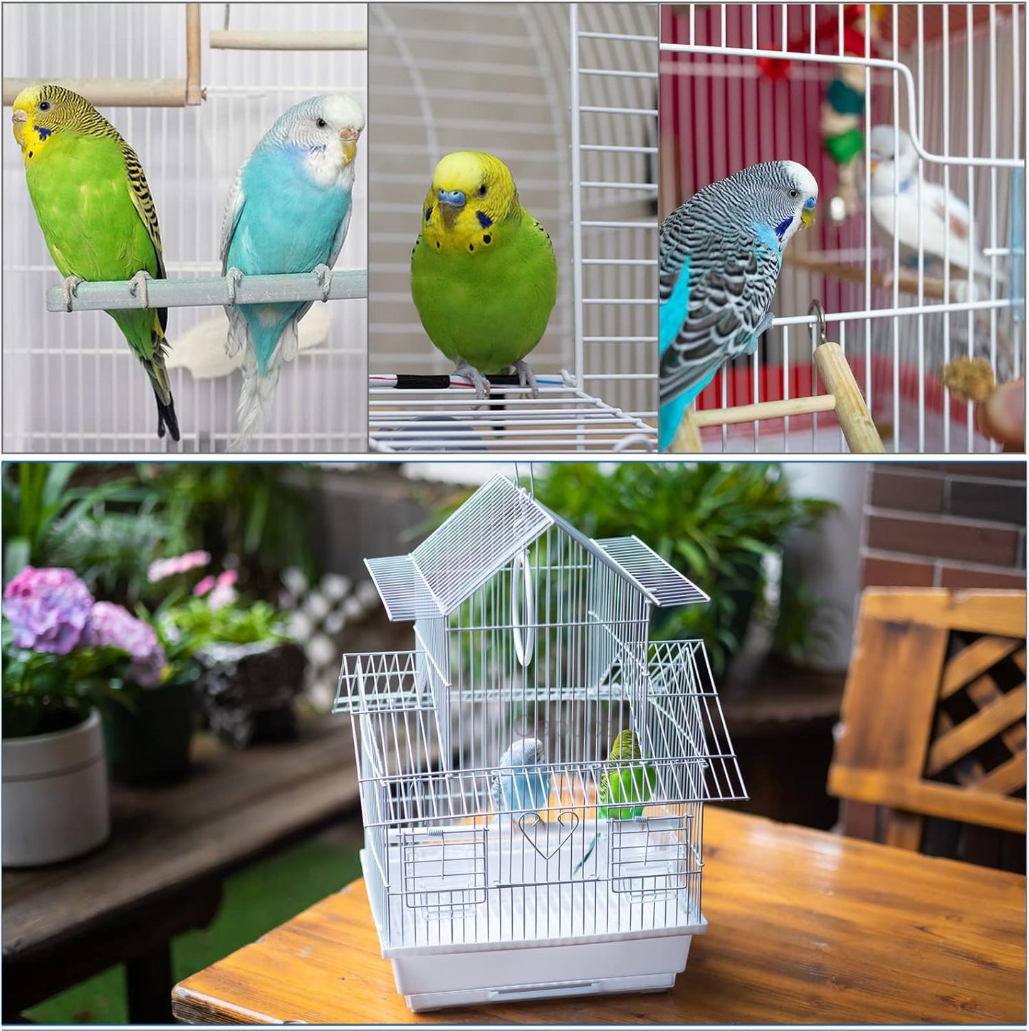 Small Bird Travel Cage - The Lightweight Small Birds Starter Kit with Birdcages and Accessories Great for Parakeets Lovebirds Parrotlets Finches Canaries