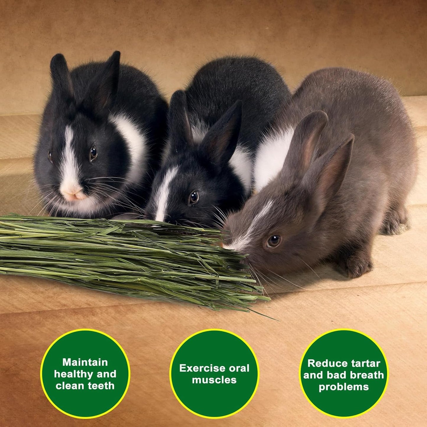 Premium Oat Hay for Pets - Dust Free Natural Green Fresh Pet Food Hay for Rabbits, Guinea Pigs, Chinchillas, Hamsters & Gerbils - 1.1lbs