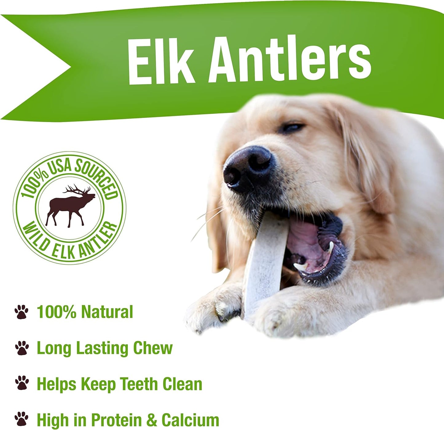 Buck Bone Organics Dog Chews, Elk Antlers for Dogs, Long Lasting Dog Bones for Aggressive Chewers, All Natural, No Preservatives, Wild Shed in The USA (Large)