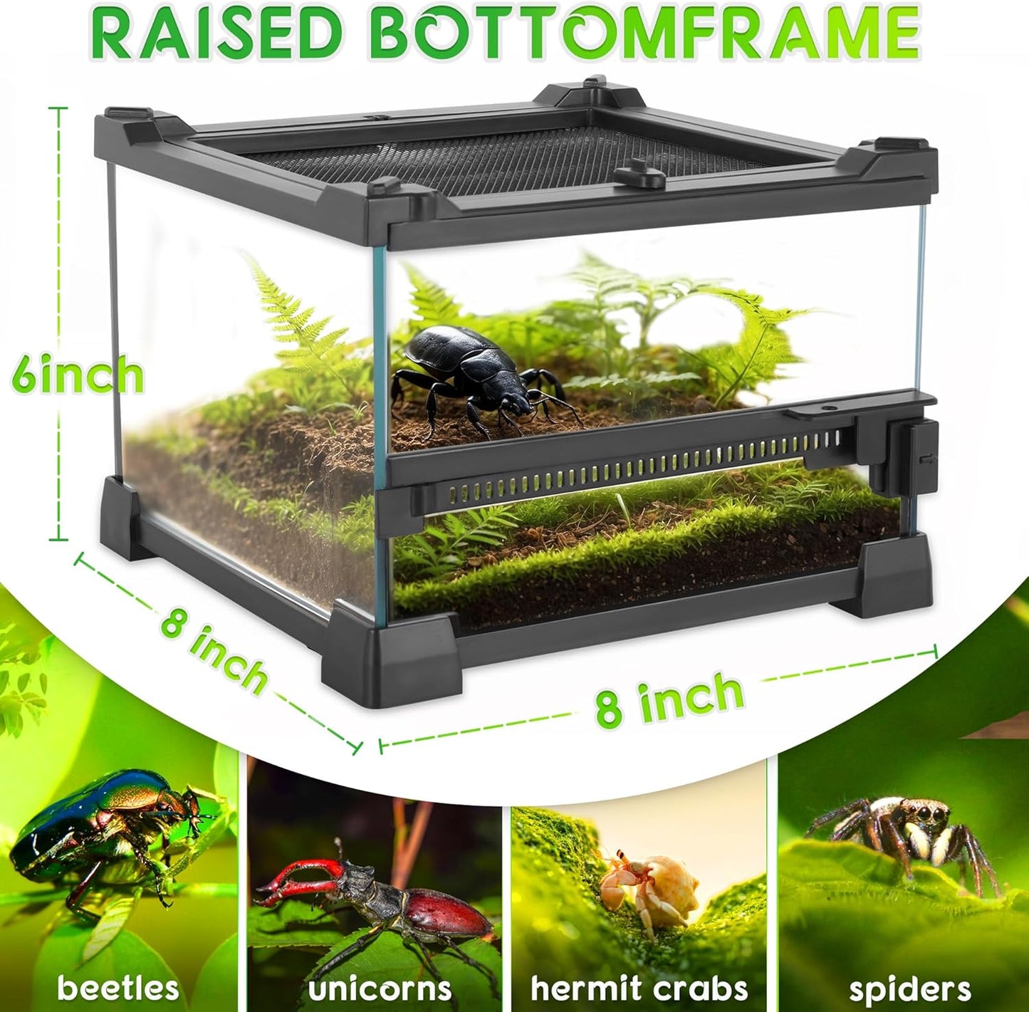 Mini Reptile Glass Terrarium 8"x8"x6" Durable Reptile Habitat Tank with Heat Resistant Aluminum Alloy Frame, Single Swinging Doors for no Jam by Sand and Other Debris
