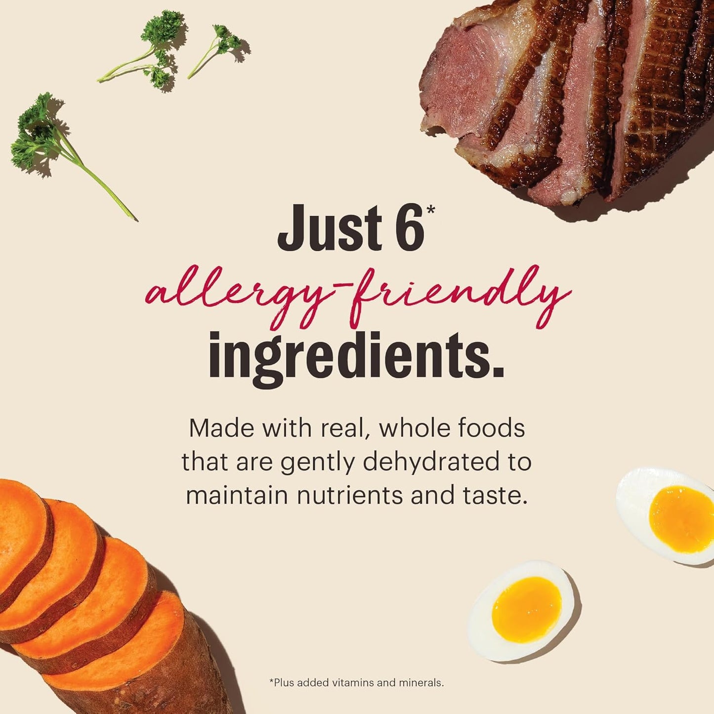 The Honest Kitchen Wholemade™ Limited Ingredient Duck & Sweet Potato Dog Food, 10 lb Box