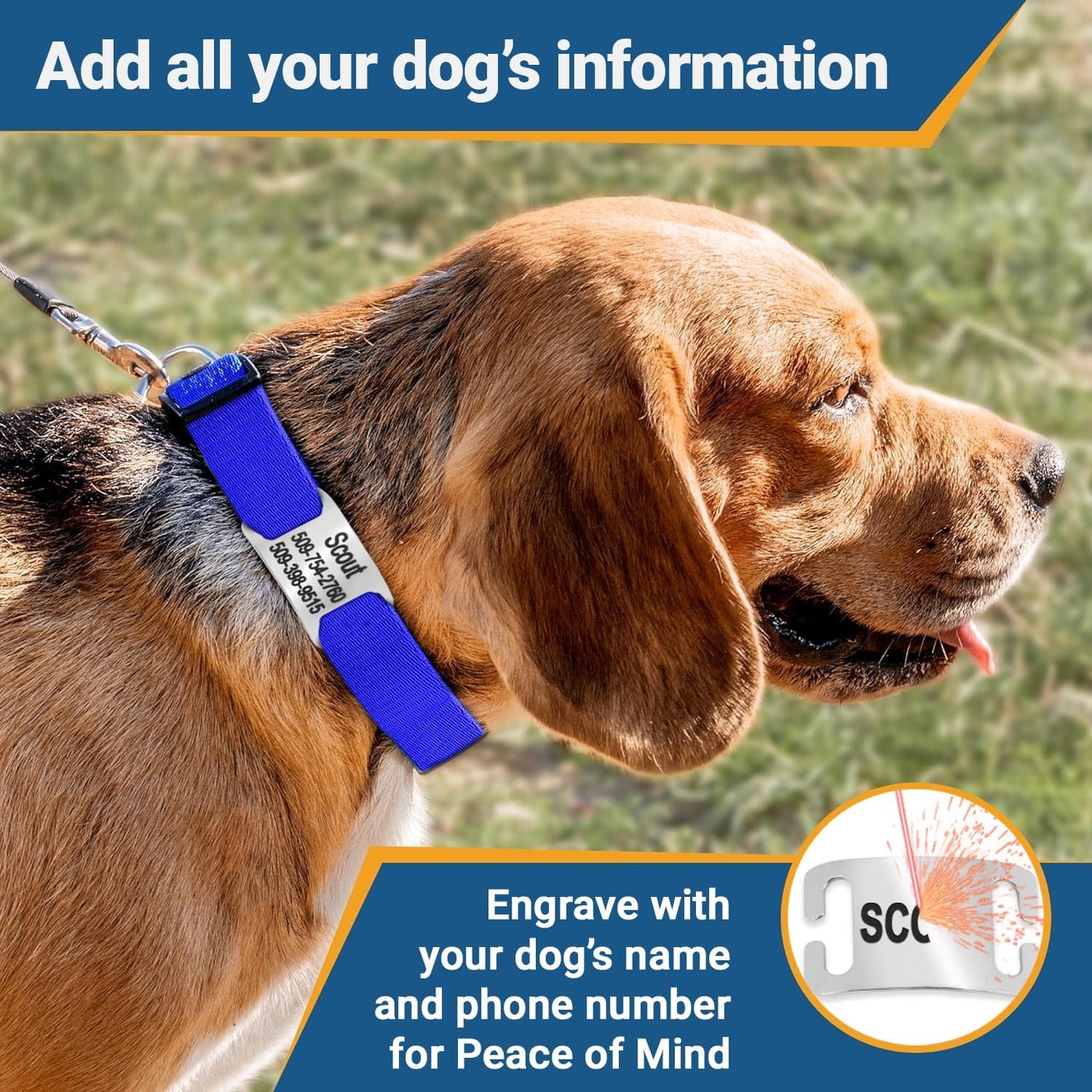 GoTags Reflective Personalized Dog Collar with Nameplate, Adjustable Dog Collar with Custom Engraved Steel Slide On Pet ID Tag, Silent, No Noise Dog Tag for Large Medium or Small (Orange, Medium)