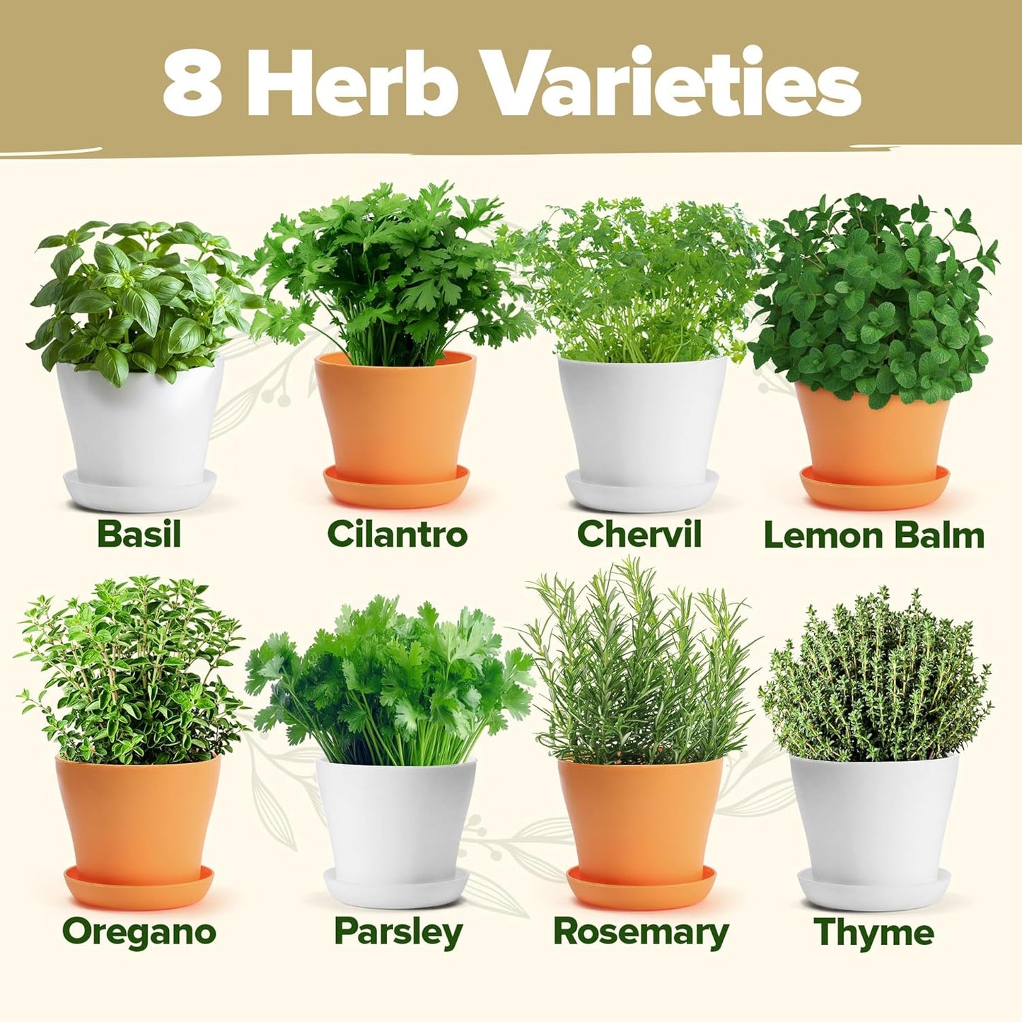HOME GROWN π£π₯ππ ππ¨π  πππ₯π πππ§ 8 Herb Seeds Garden Kit, Complete Indoor Planter Gift with Basil Cilantro Mint & More, Unique Kitchen Growing Set for Women Men, Birthday Housewarming Present