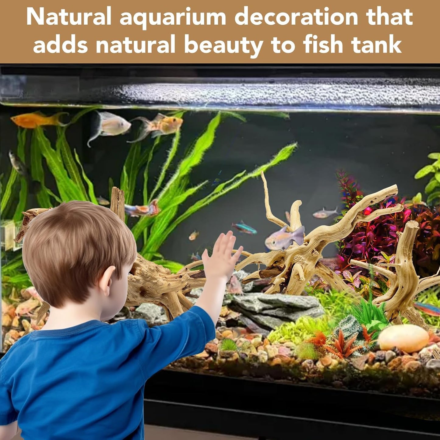 Natural Large Spiderwood Driftwood for Aquarium Decor Rptile Fish Tank Decoration Assort Branch 7-11'' 3 Pcs