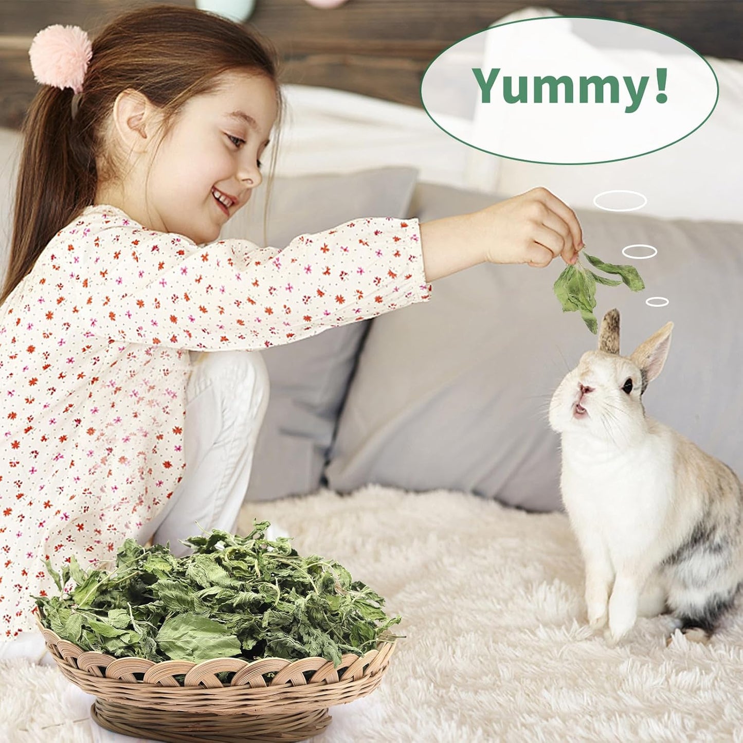 Nature Treats for Small Animals Dried Mint Leave 12 OZ - Dust Free Natural Green Fresh for Pets Rabbits, Rich in nutrients Alleviate Digestive Improve The Oral Health of Pets