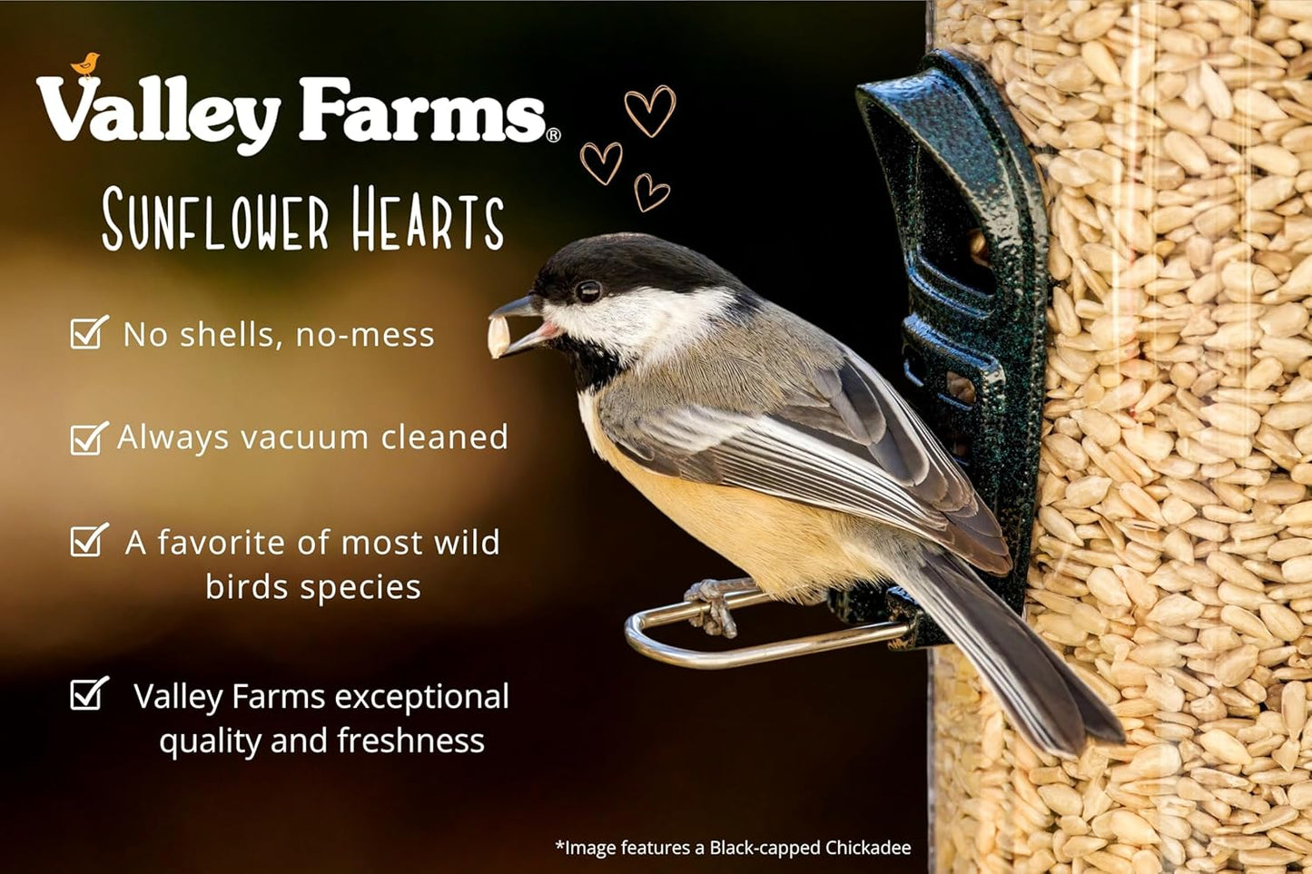 Valley Farms Whole Sunflower Hearts for Birds 4 LB 2-Pack (8 LB Total), Sunflower Kernels Wild Bird Food, No Mess Wild Bird Seed for Outside Feeders, Sunflower Hearts Birdseed