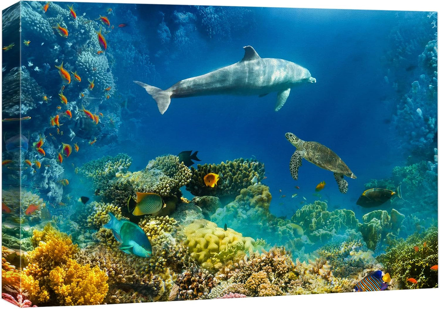 wall26 Canvas Print Wall Art Tropical Ocean Underwater Dolphin Coral Reef Nature Animals Photography Realism Rustic Scenic Landscape Wilderness Colorful for Living Room, Bedroom, Office - 16"x24"