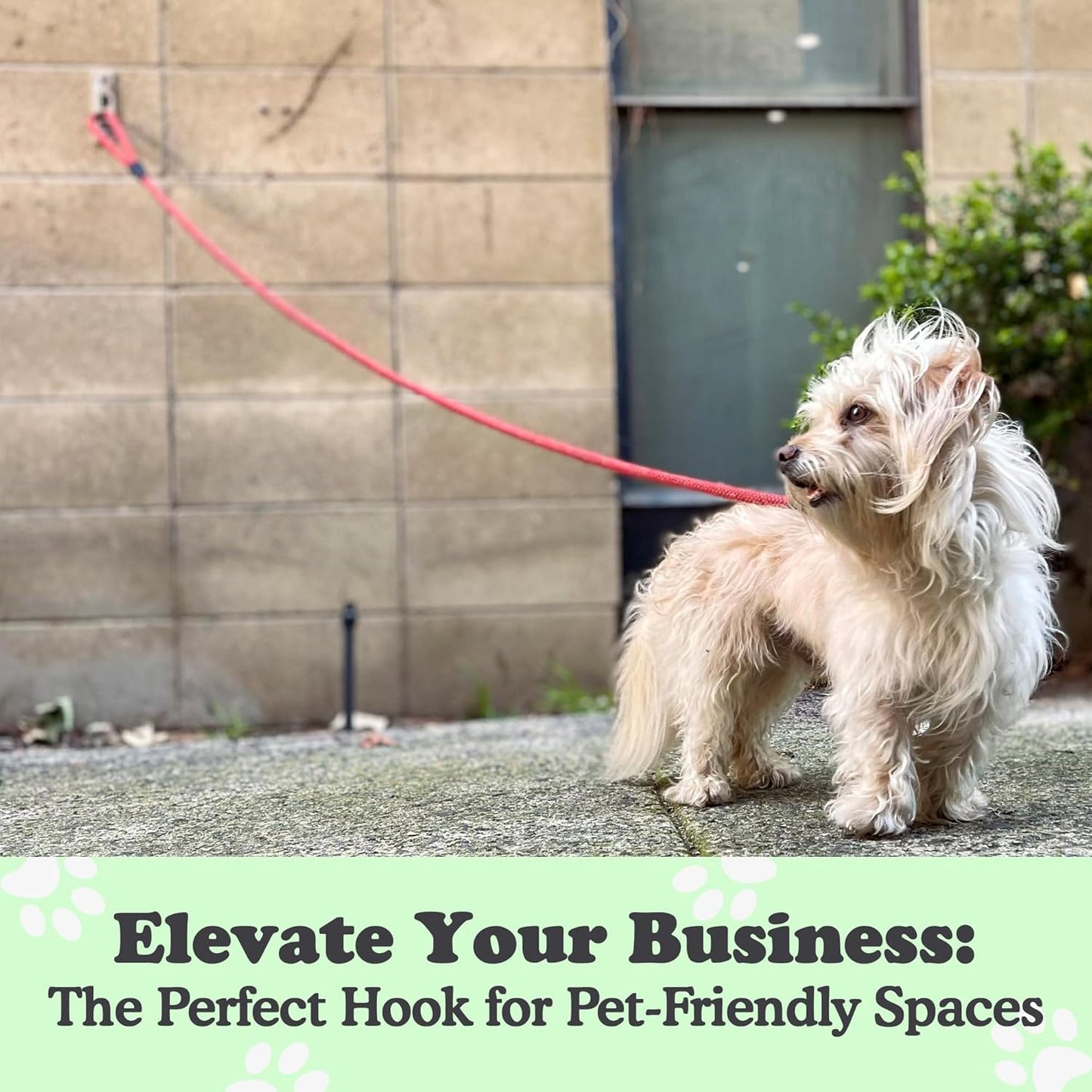 Canine Hitch- Secure Dog Leash Parking Mounted Indoor – Outdoor Wall Hook - Tie Out Stainless Steel Practical Lead Management for Home & Business, Standard Size 6 Pack