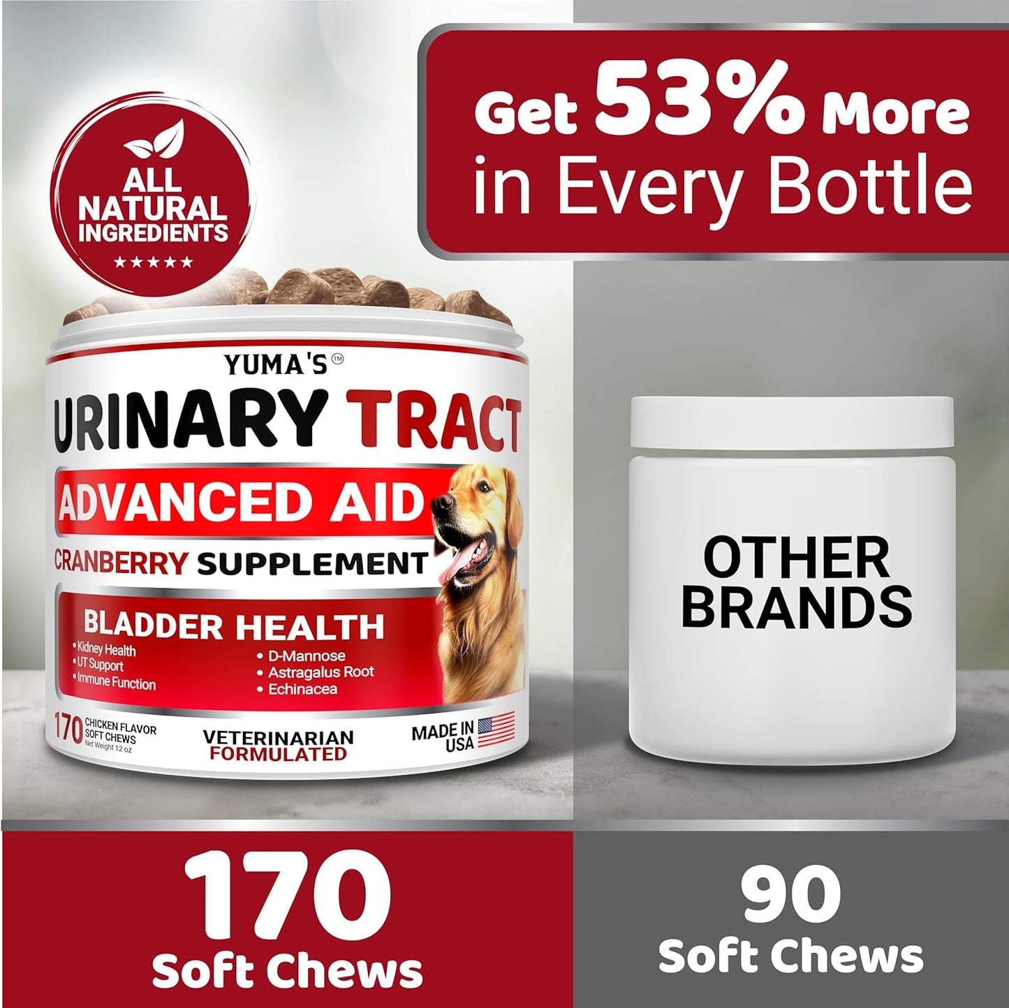 Dog UTI Treatment - 170 Treats - Cranberry Supplement for Dogs - Bladder Control - Urinary Tract Infection Treatment - UTI Medicine Multivitamin - Vitamins and Supplements - Made in USA