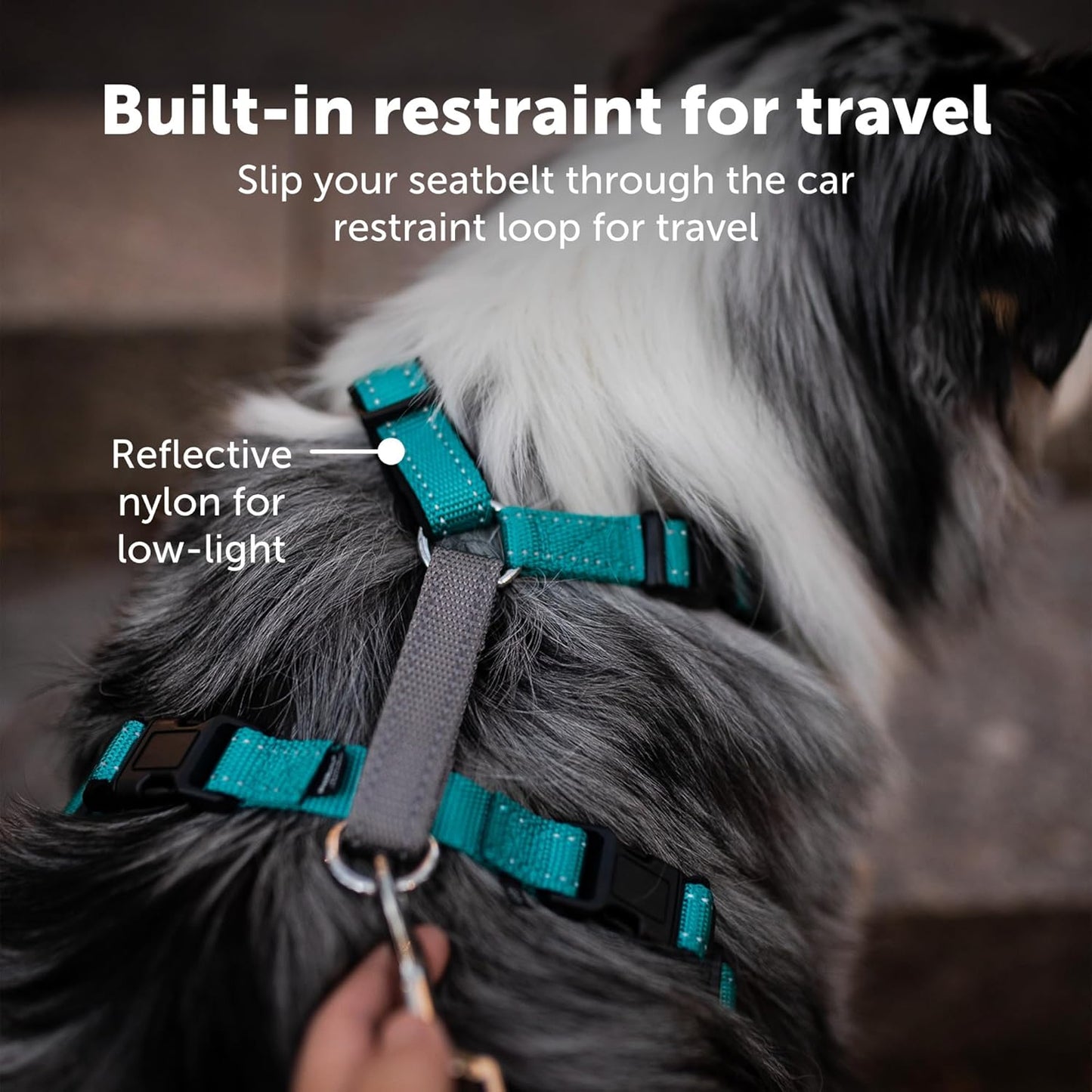 PetSafe 3 in 1 Dog Harness - No Pull Solution for Dogs - Reflective Dog Harness - Front D-Ring Clip Helps Stop Pulling - Comfortable Padded Straps - Top Handle Enhances Control - Teal - Large