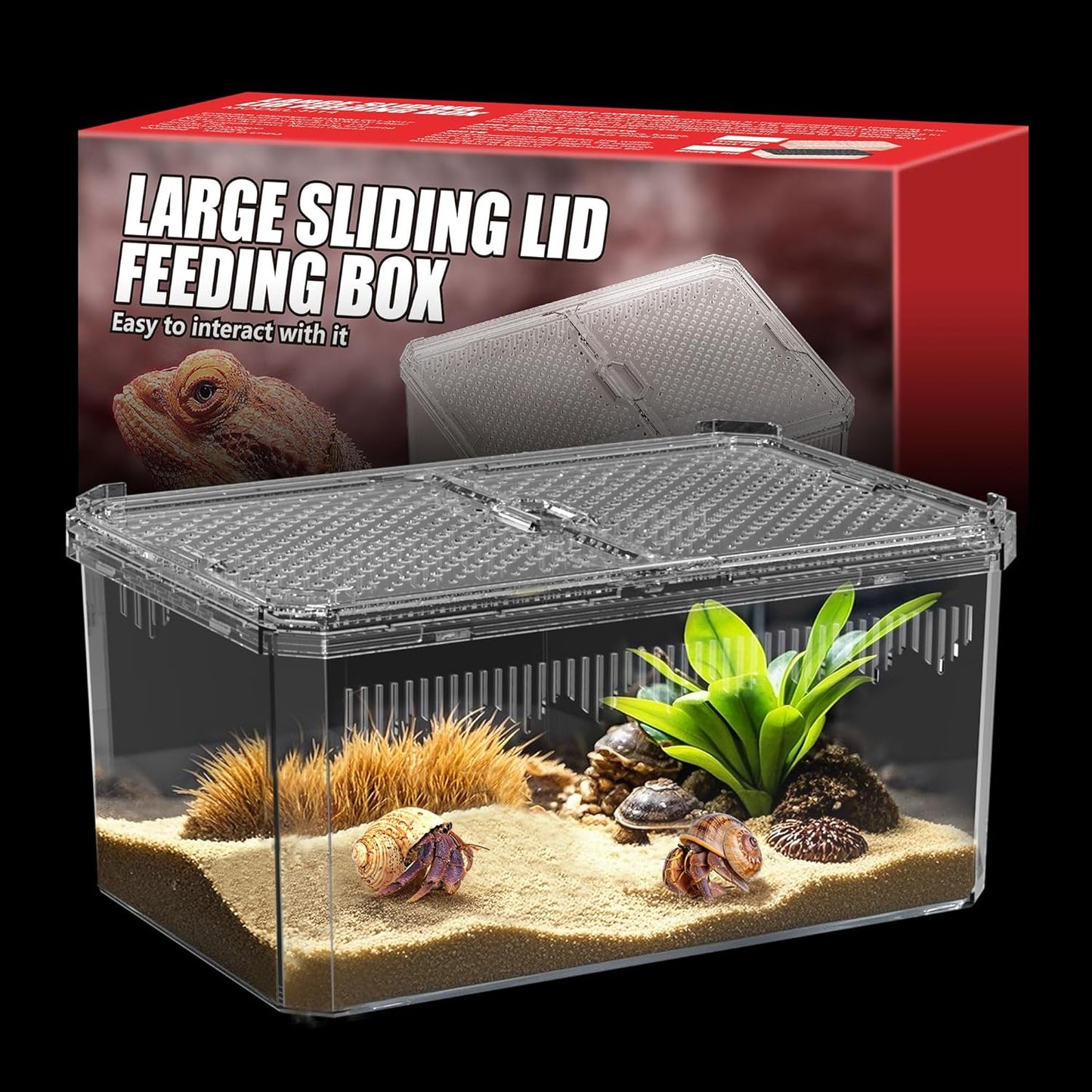 Breathable and Secure Reptile Tank with high Transparency - Ideal Container House for Hermit Crab, Tarantula Enclosure, Turtle Tank or Jumping Spider Habitat (L)